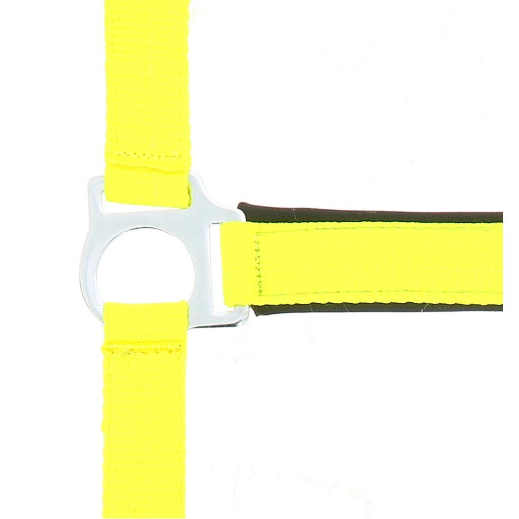 Halfter zweilagig FLUO gelb Halfter zweilagig FLUO gelb