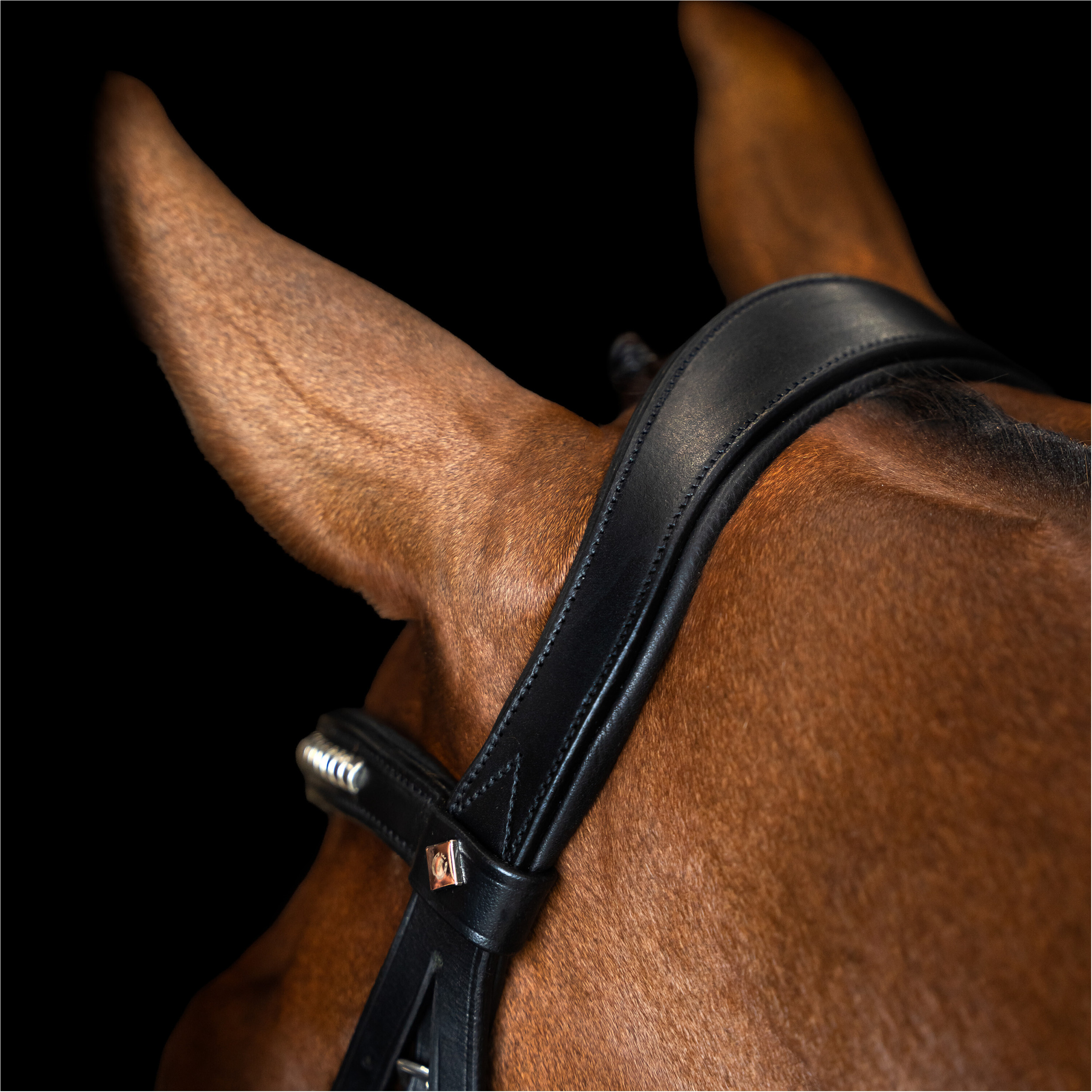 Mexikanisches Zaumzeug IRH schwarz