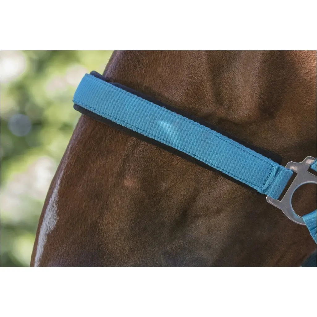 Halfter zweilagig FLUO blau Halfter zweilagig FLUO blau