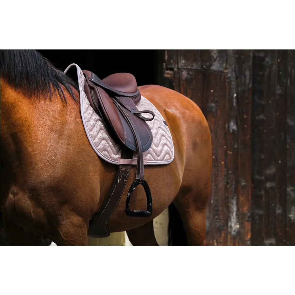 Schabracke BROCART rosa Warmblut Vielseitigkeit Schabracke BROCART rosa Warmblut Vielseitigkeit