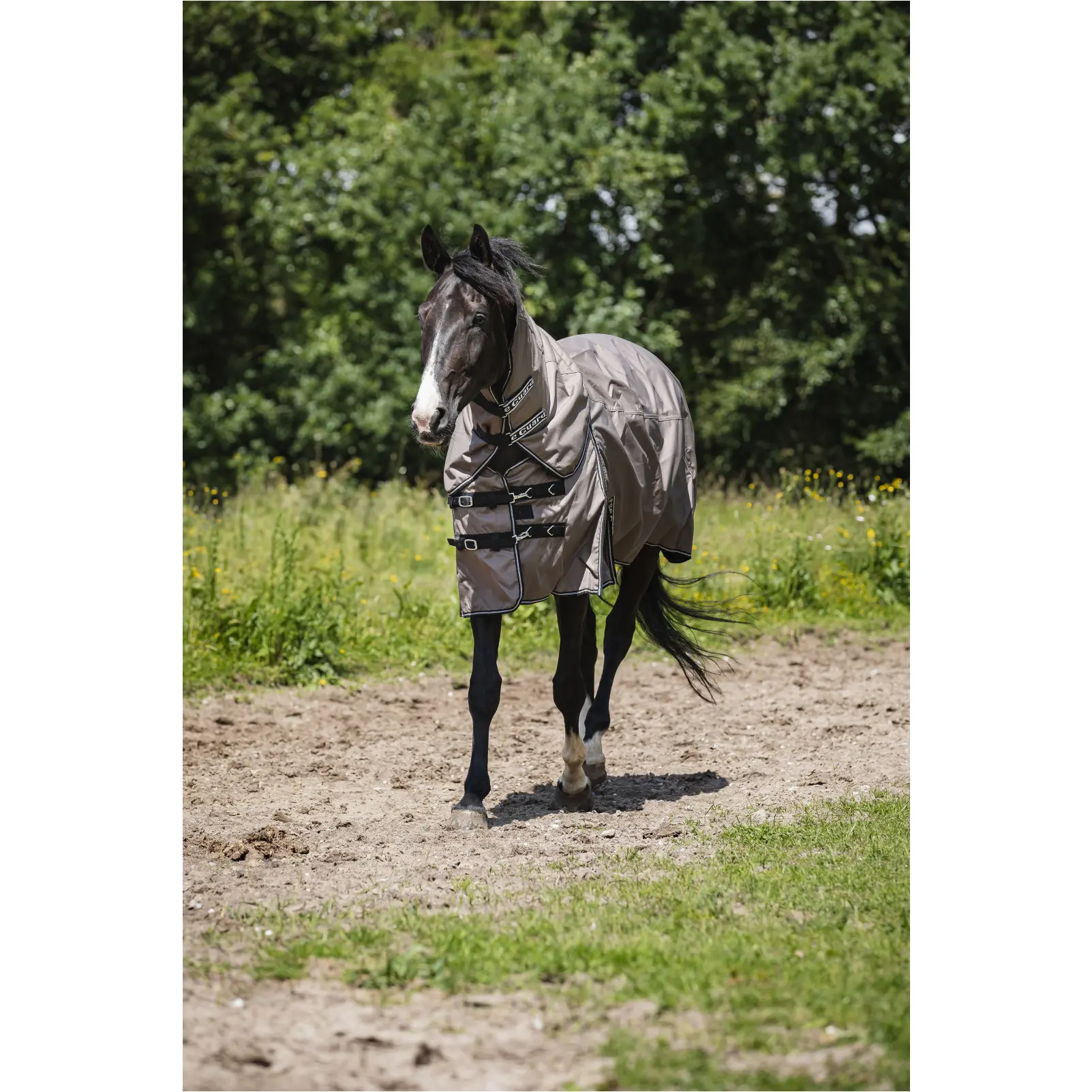 Halsteil 100g Füllung 600D Horse Guard falcon