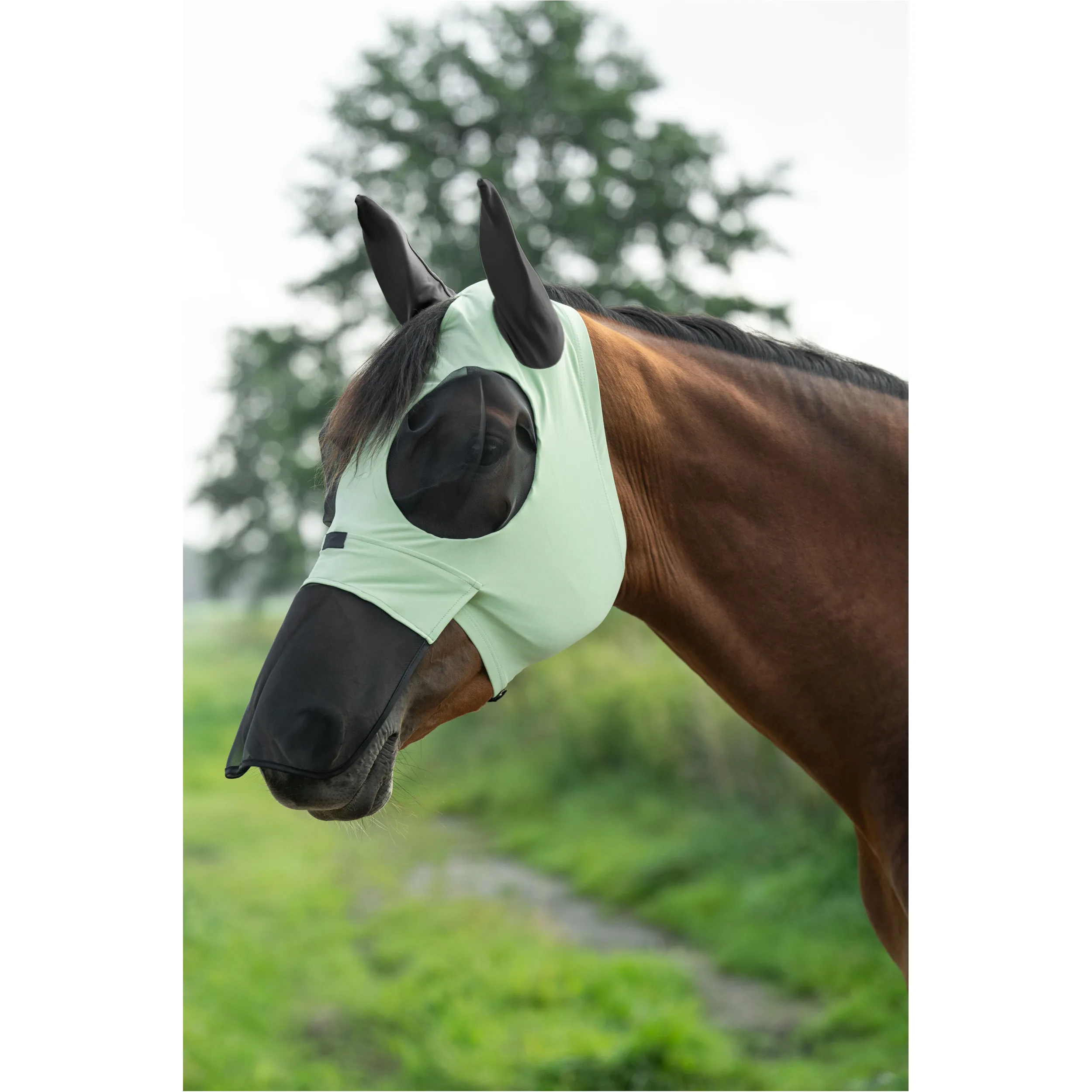 Fliegenschutzmaske mit Nüsternschutz ELASTIC jade
