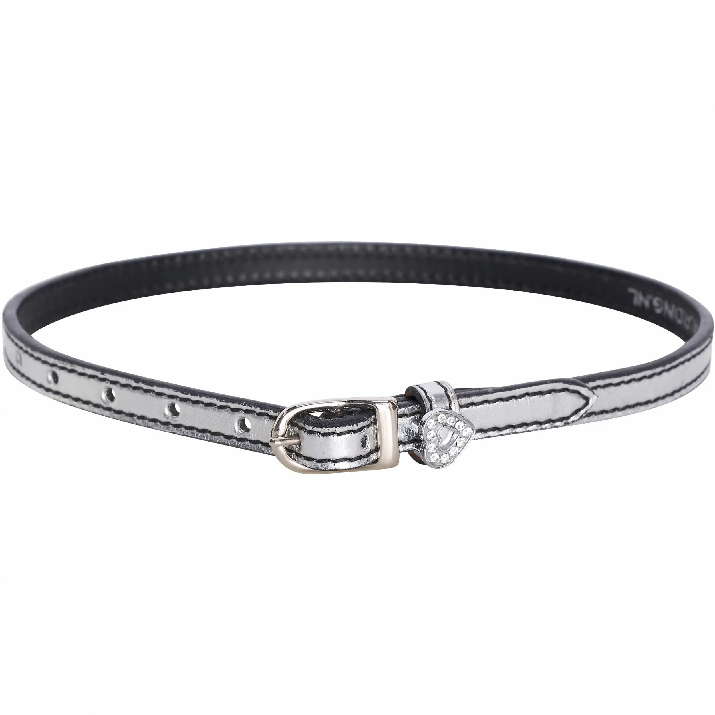 Sporenriemen IRHShiny silver