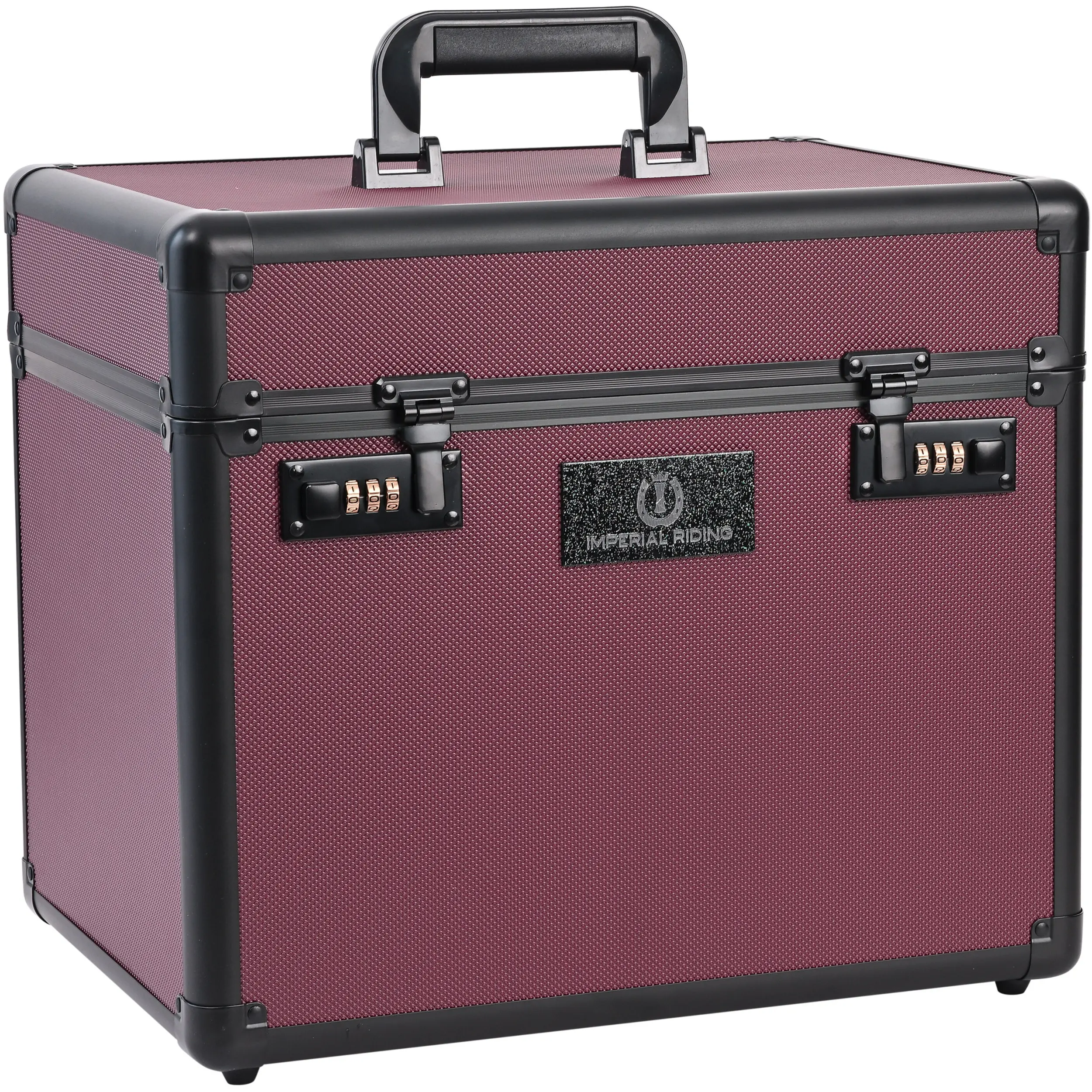 Putzbox IRHShiny fig