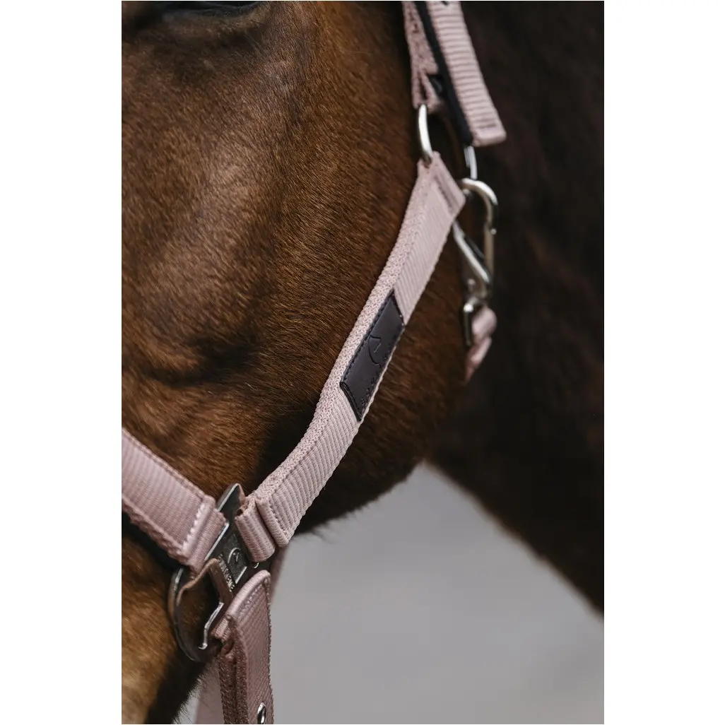 Nylonhalfter SPRING hellrosa