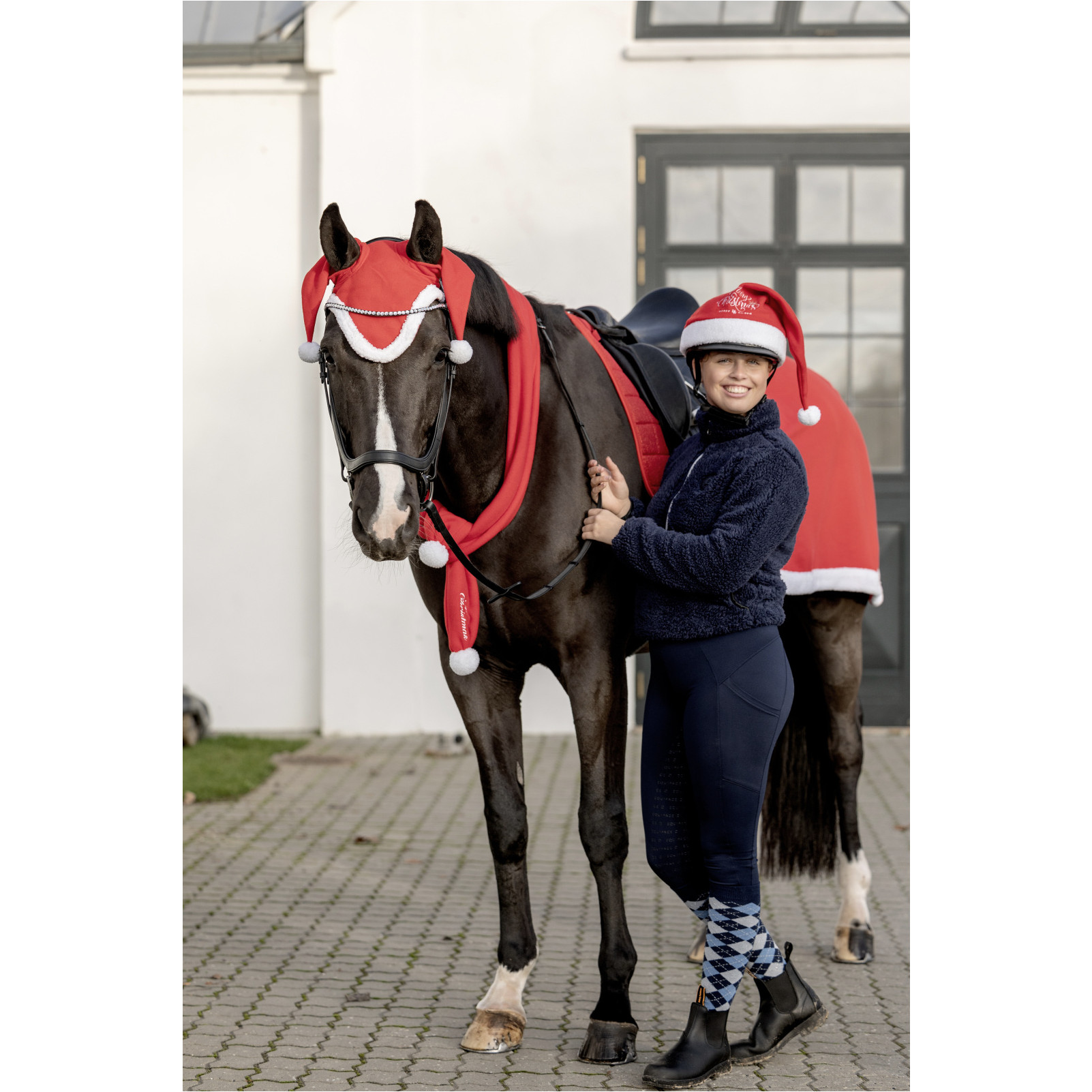 Winter Damen Reitleggings Silikon Vollbesatz VANDA navy Winter Damen Reitleggings Silikon Vollbesatz VANDA navy