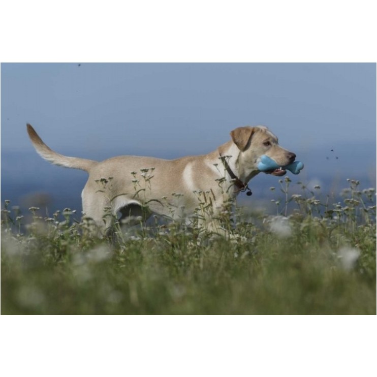 Knochen aus Vollgummi blau 17cm