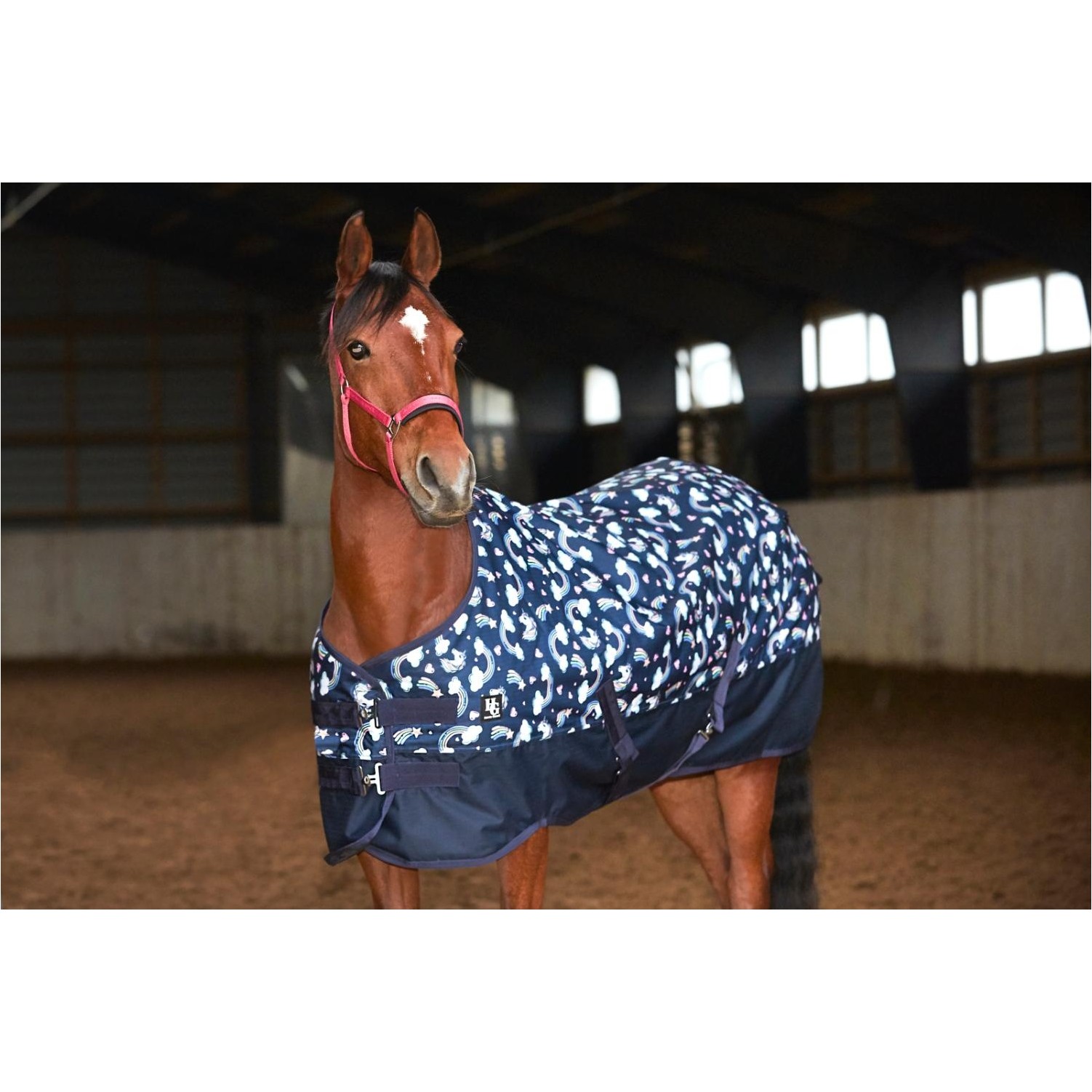Turnoutdecke 100g Füllung 600D JOSH PONY navy