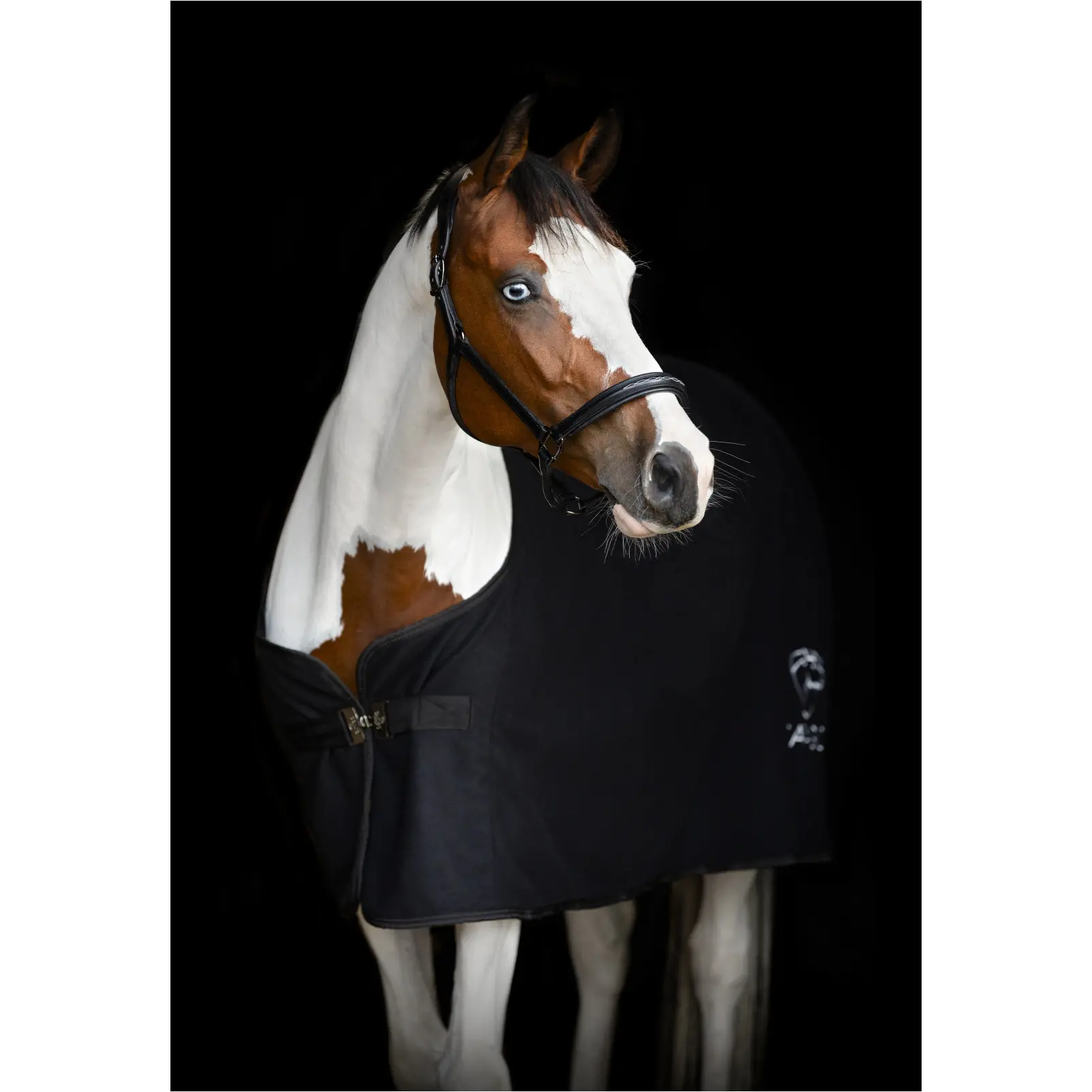 Lederhalfter NOVI 25.2 schwarz Lederhalfter NOVI 25.2 schwarz