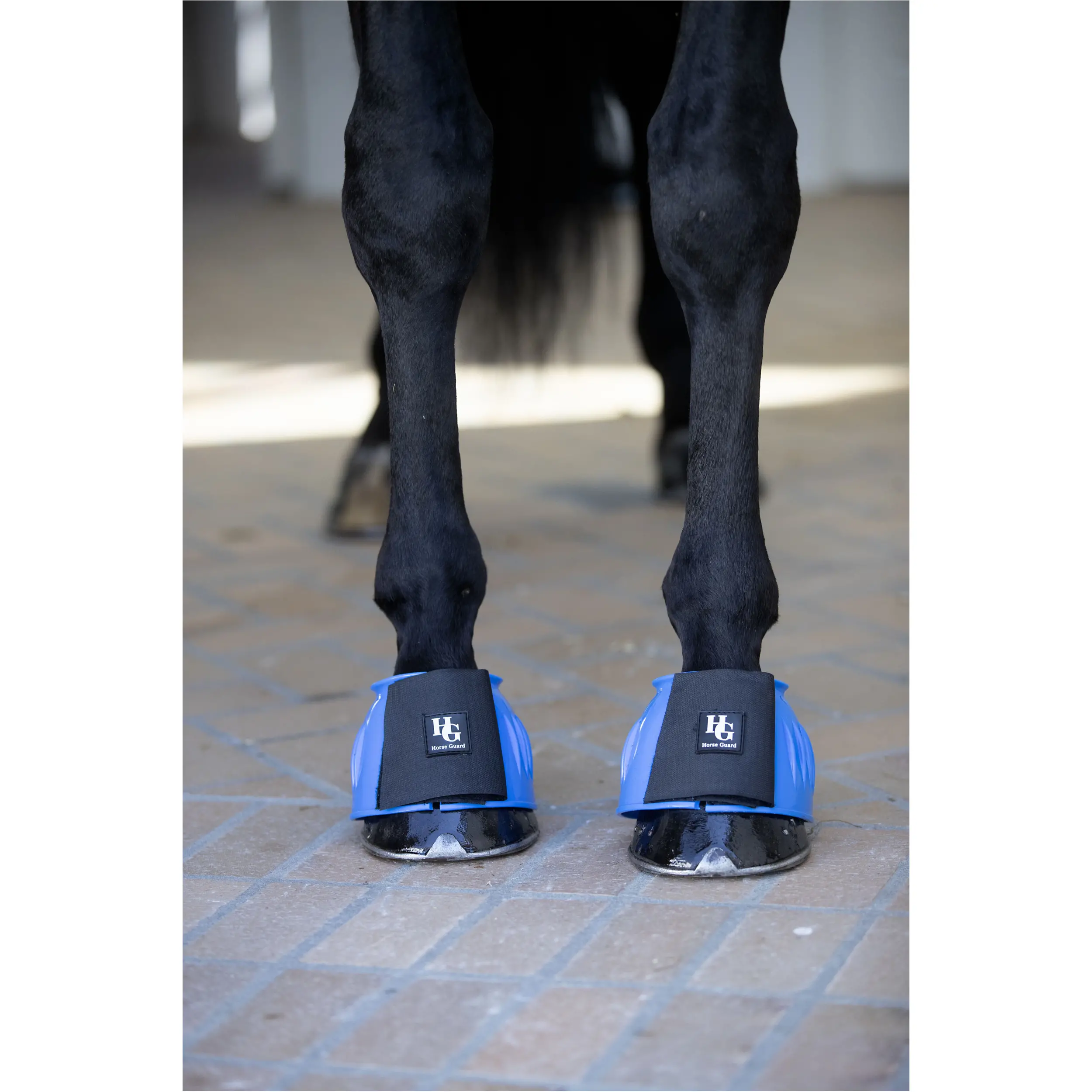 Hufglocken TAMSIN royalblau