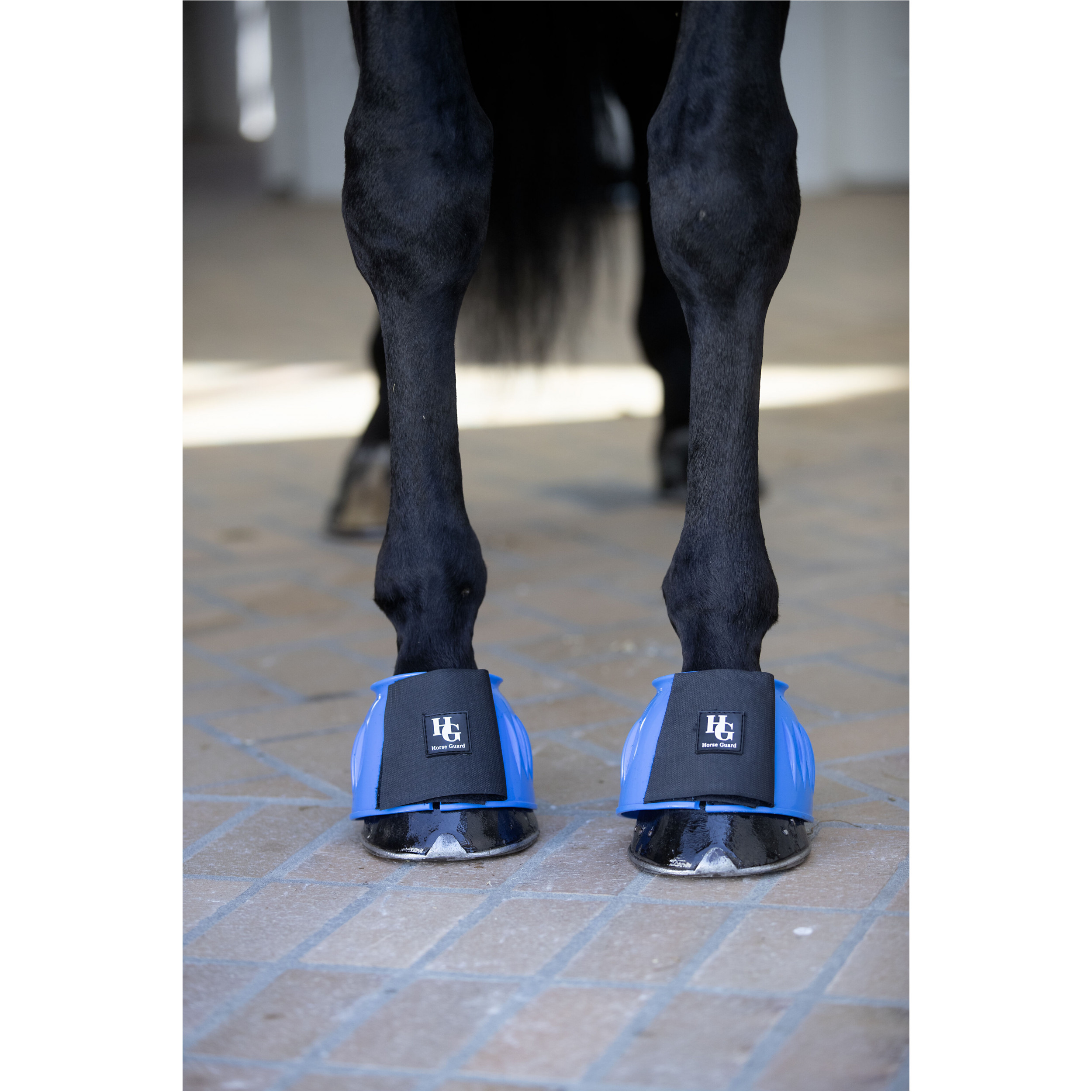 Hufglocken TAMSIN royalblau