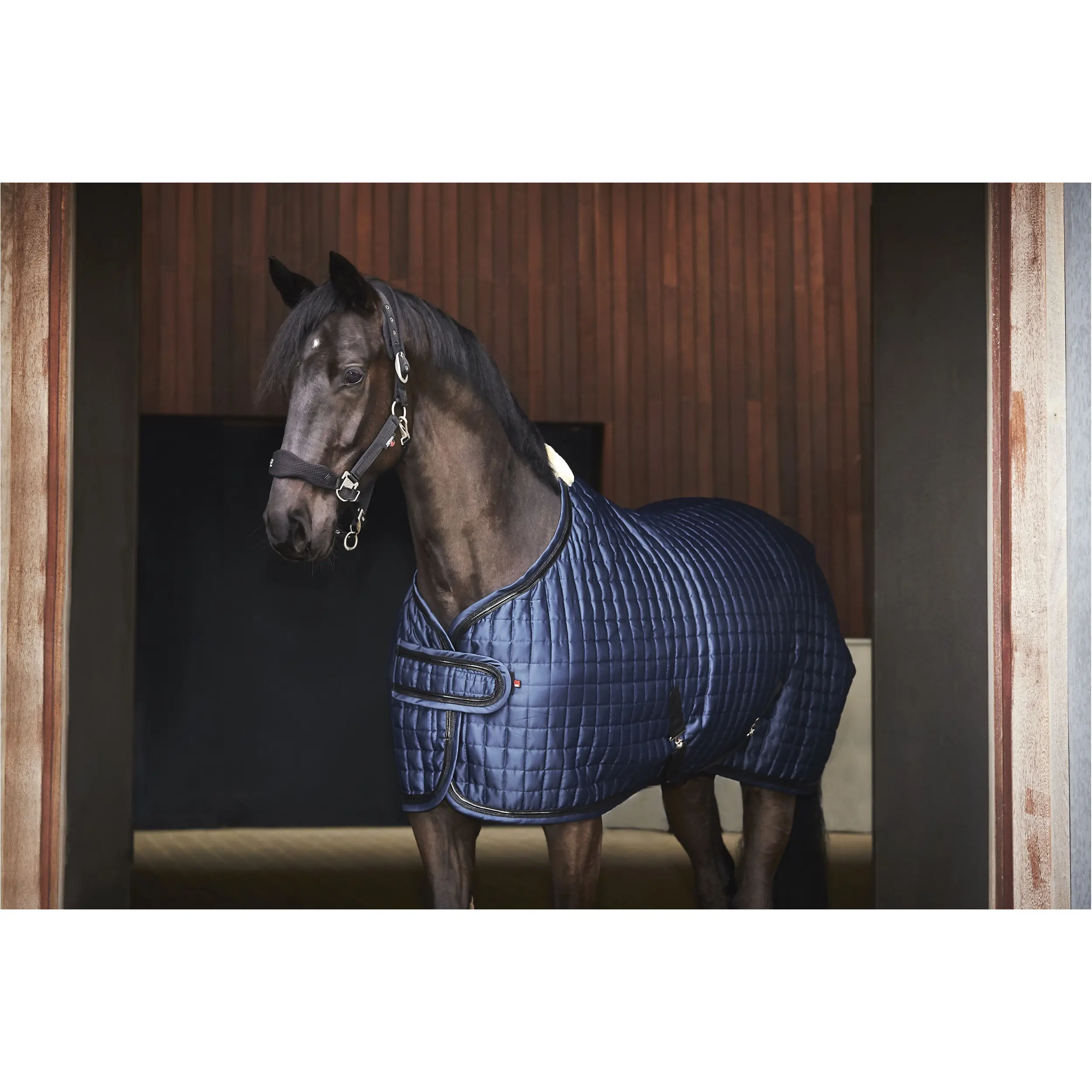 Showdecke 2in1 FIR-Tech ELEGANT navy Showdecke 2in1 FIR-Tech ELEGANT navy