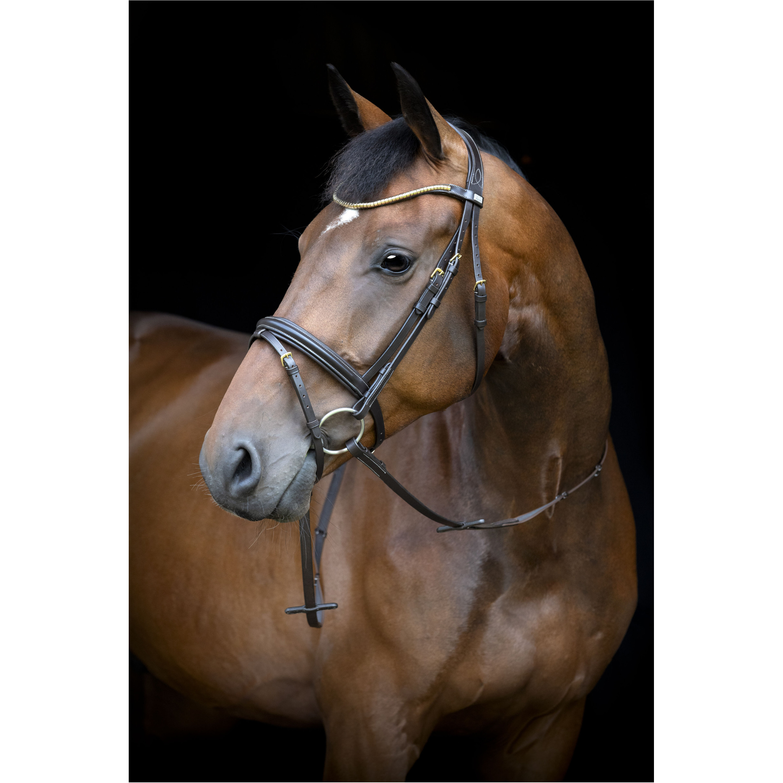 Trensenzaum englisch kombiniert EMI 26.1 braun