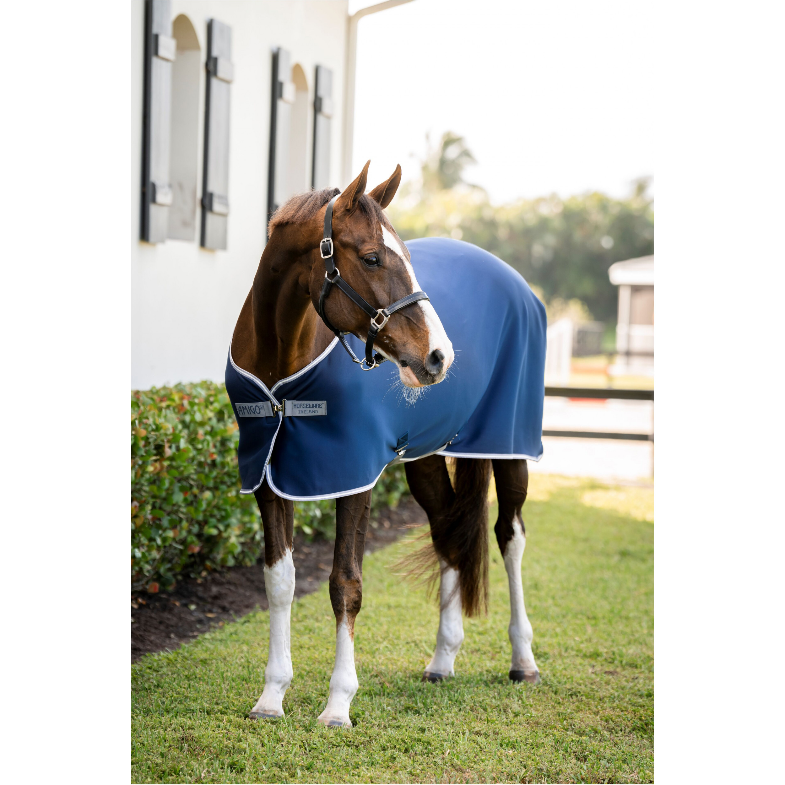 Abschwitzdecke AMIGO Jersey Cooler navy/titanium grey/silver