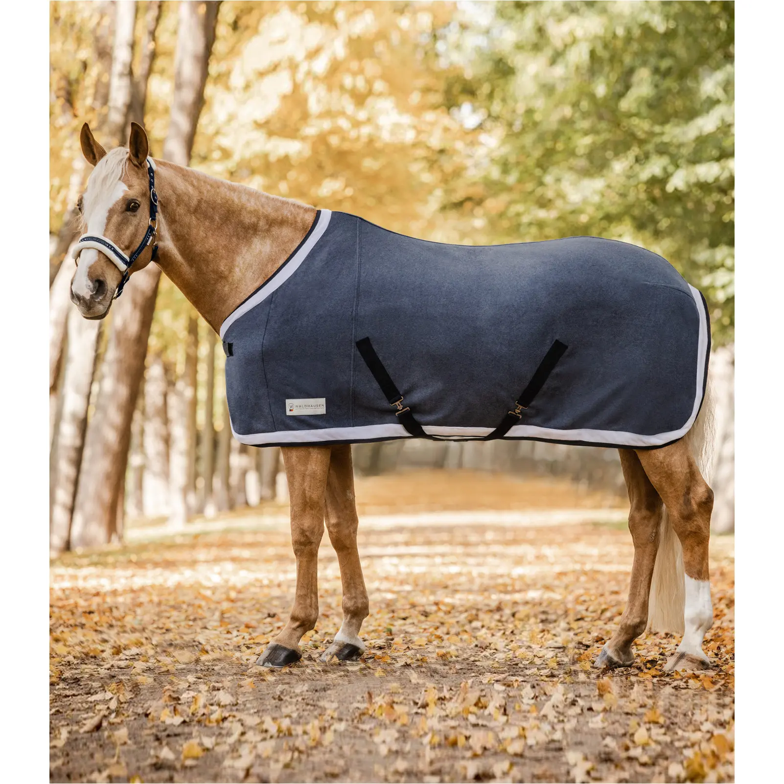 Abschwitzdecke ESPERIA TWO dunkelblau/creme