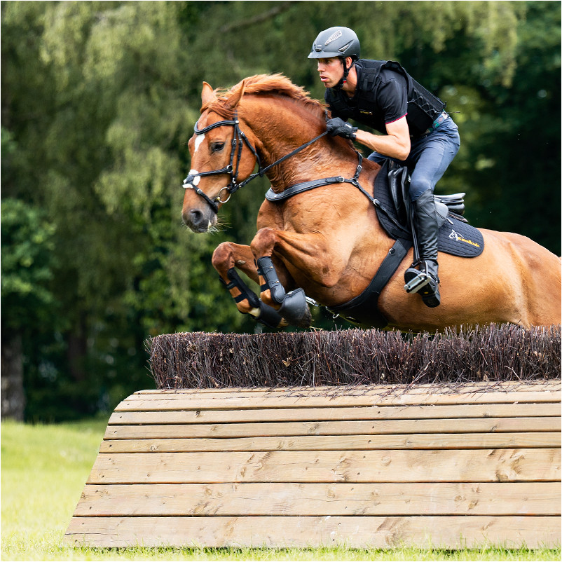 Vorderzeug JEROME braun