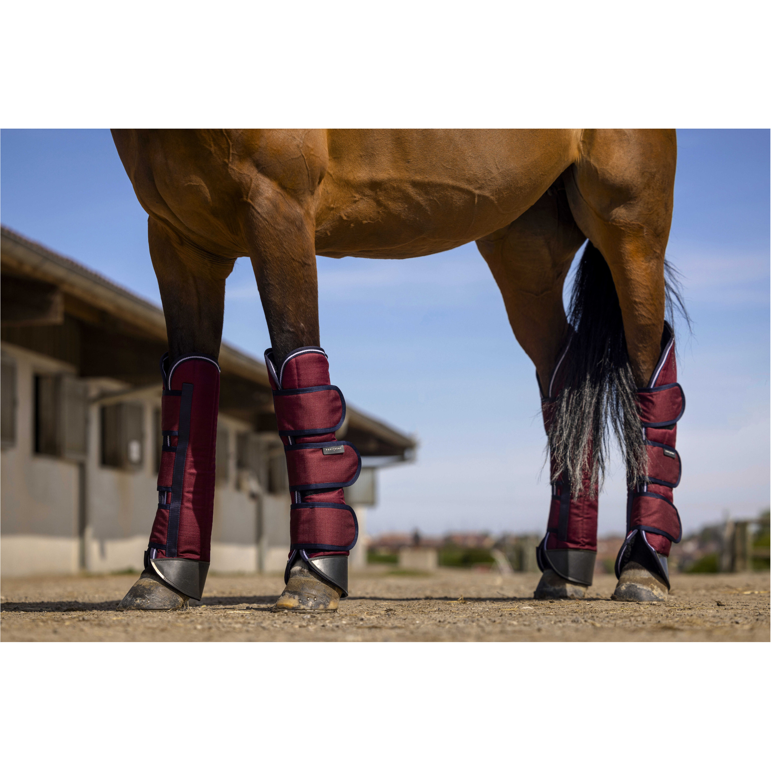 Transportgamaschen (4er Set) 1200D TYREX burgunder Transportgamaschen (4er Set) 1200D TYREX burgunder