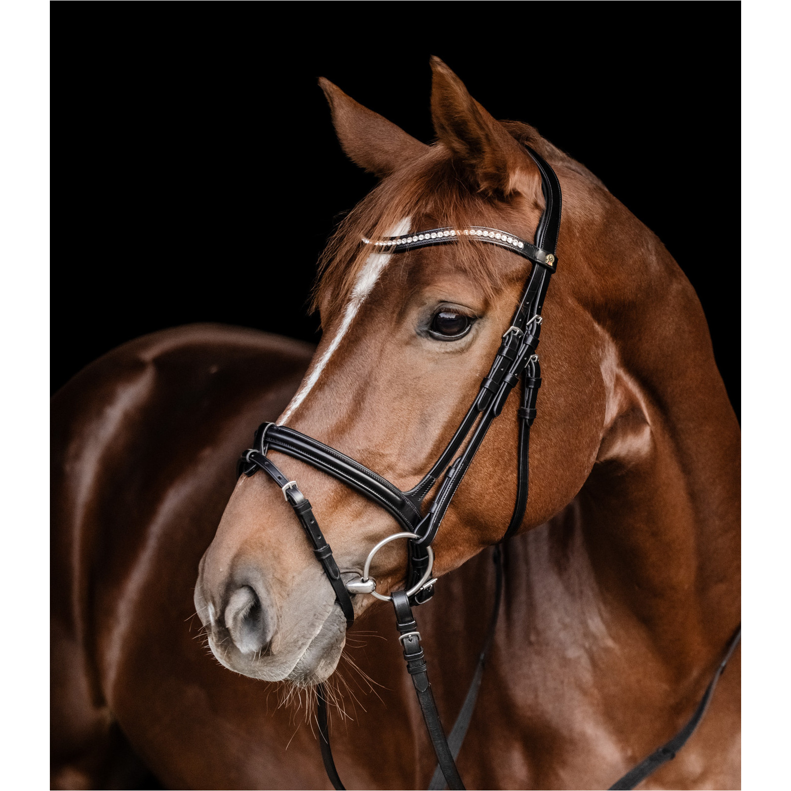 Trensenzaum S-Line HARMONY schwarz