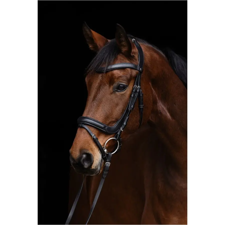 Trensenzaum ANATOMIC schwarz