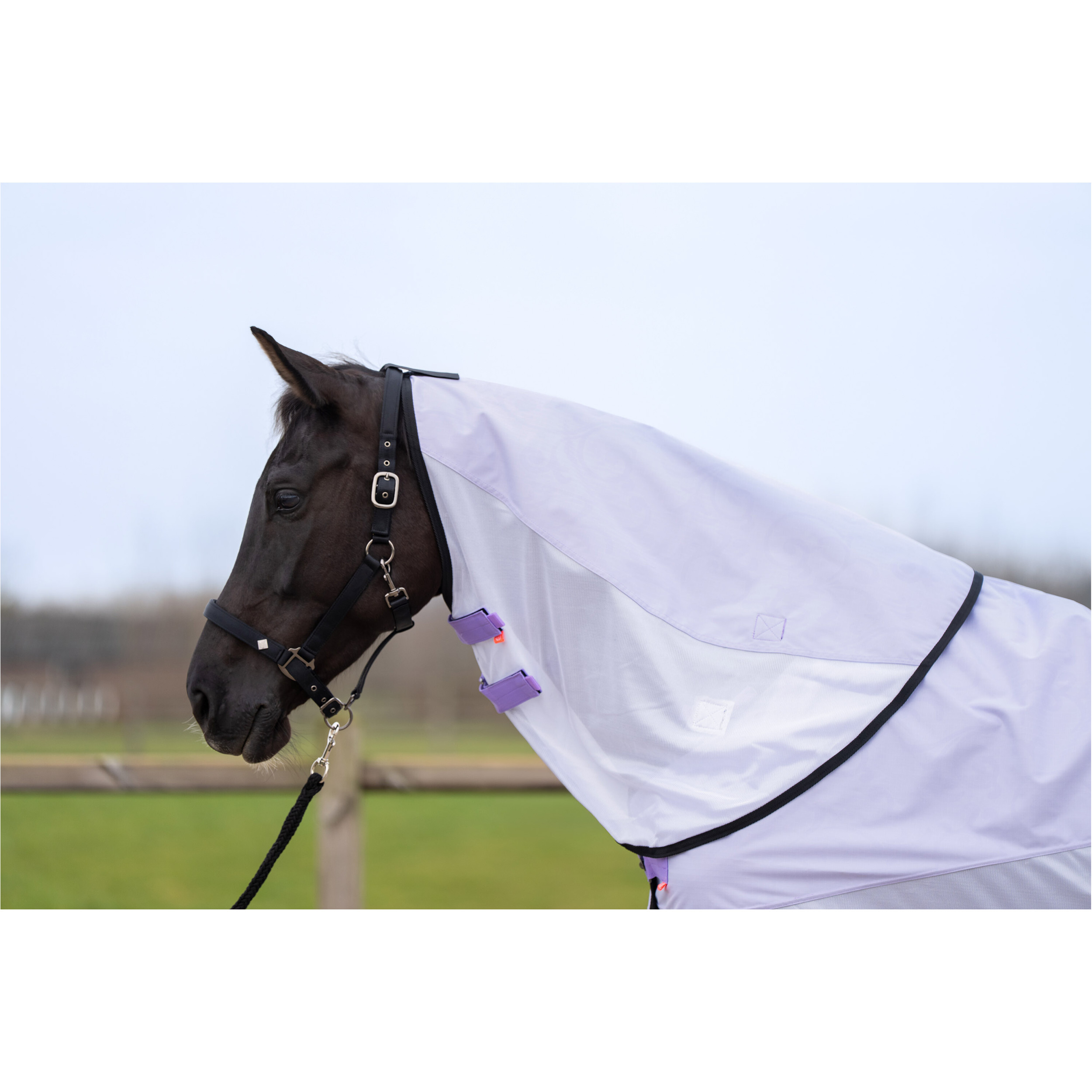 Halsteil Regen- & Fliegendecke 600D IRHSuper-dry wisteria