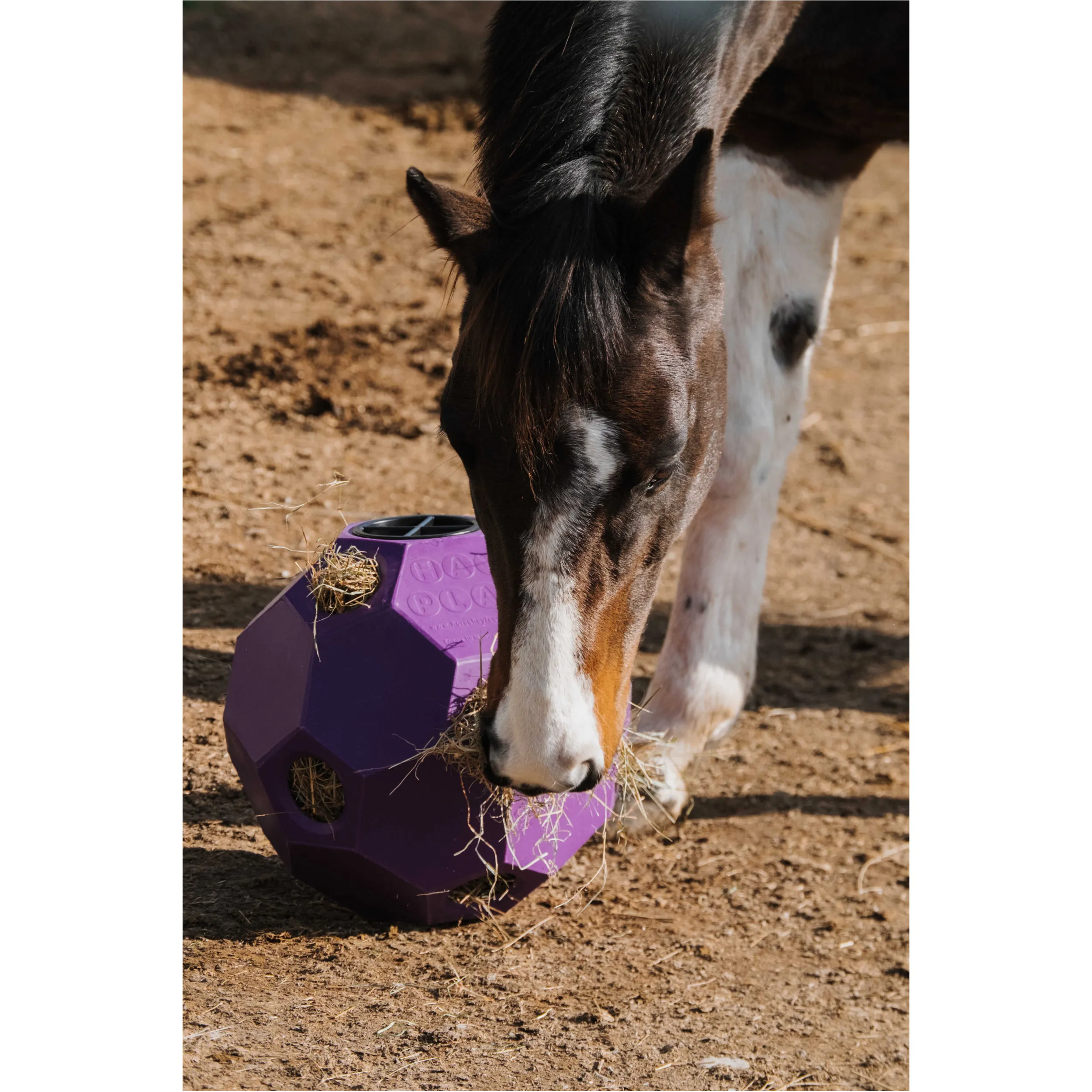 Slow-Feeder-Ball für Heu violett 42cm