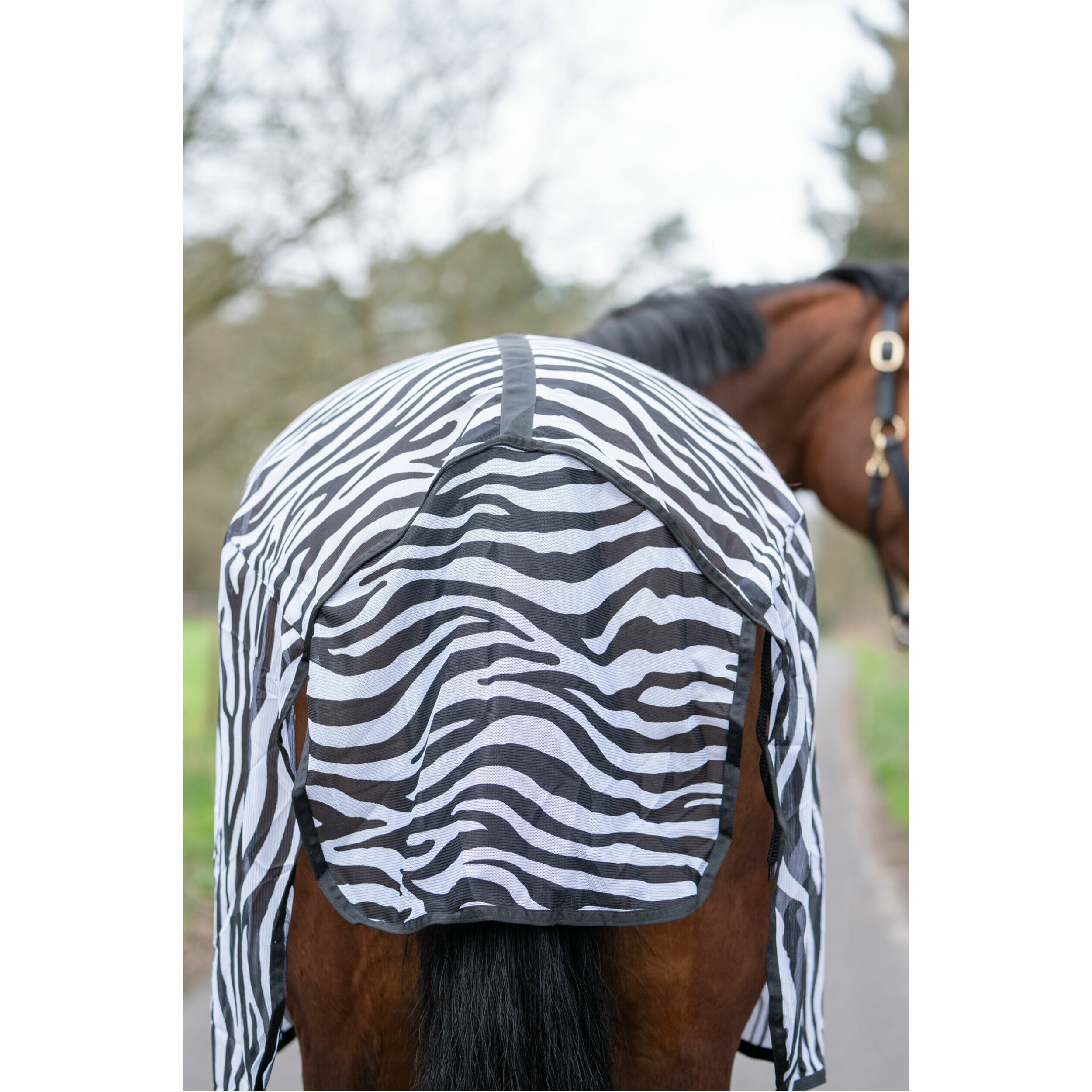 Fliegendecke mit Kreuzgurt ZEBRA schwarz/weiß