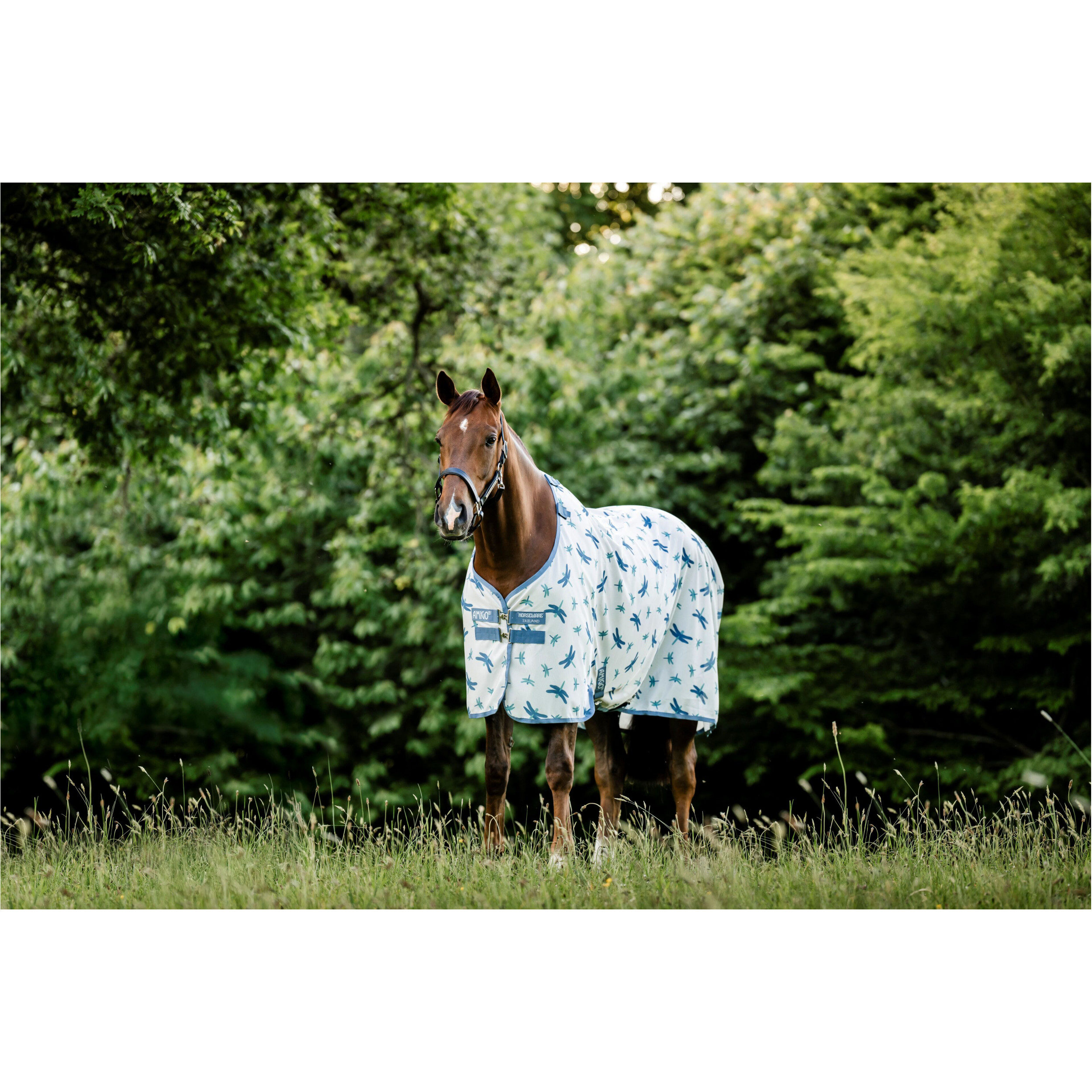 Fliegendecke AMIGO Bug Rug dragonfly print/silver/blue/sage