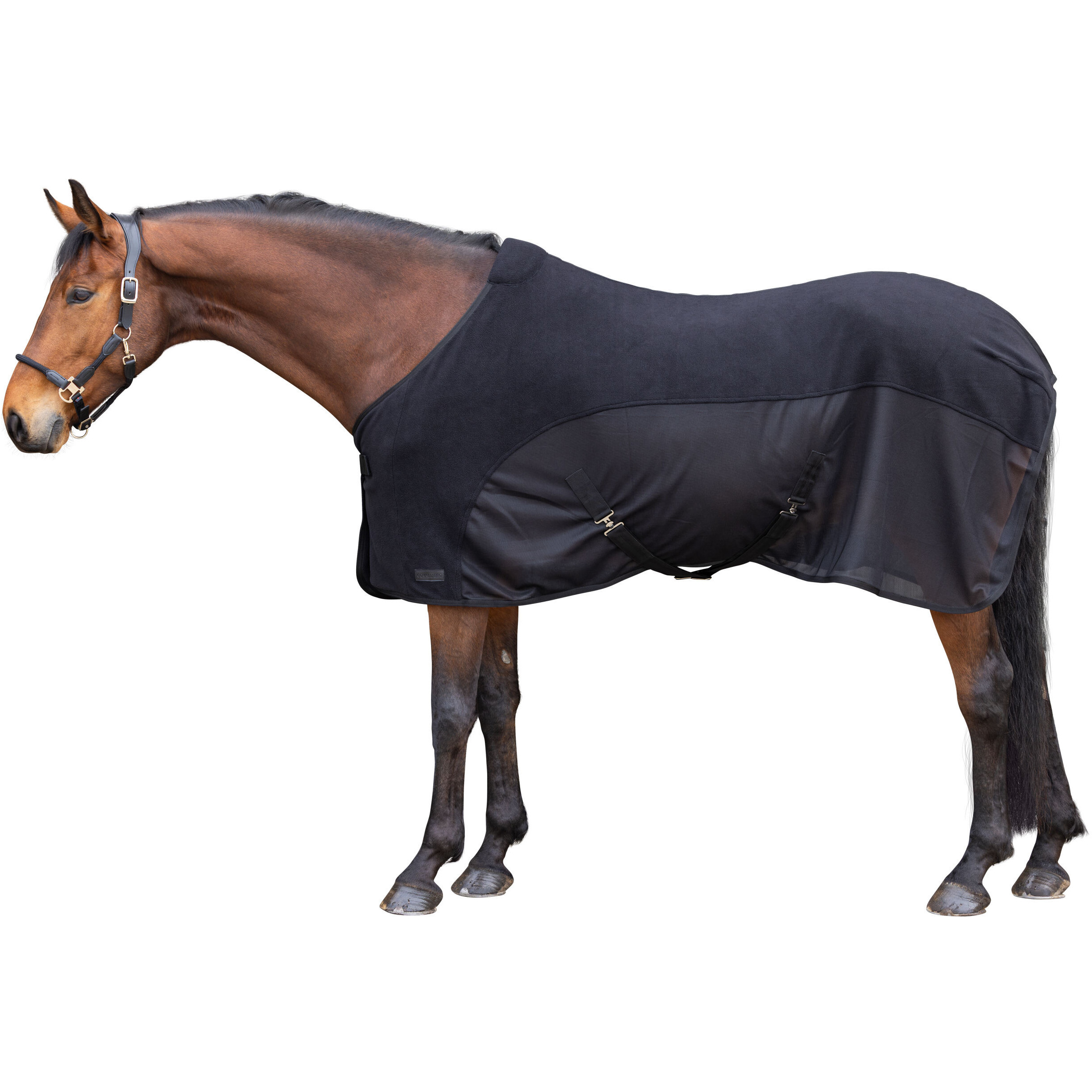 Abschwitzdecke F/S 2026 black Abschwitzdecke F/S 2026 black