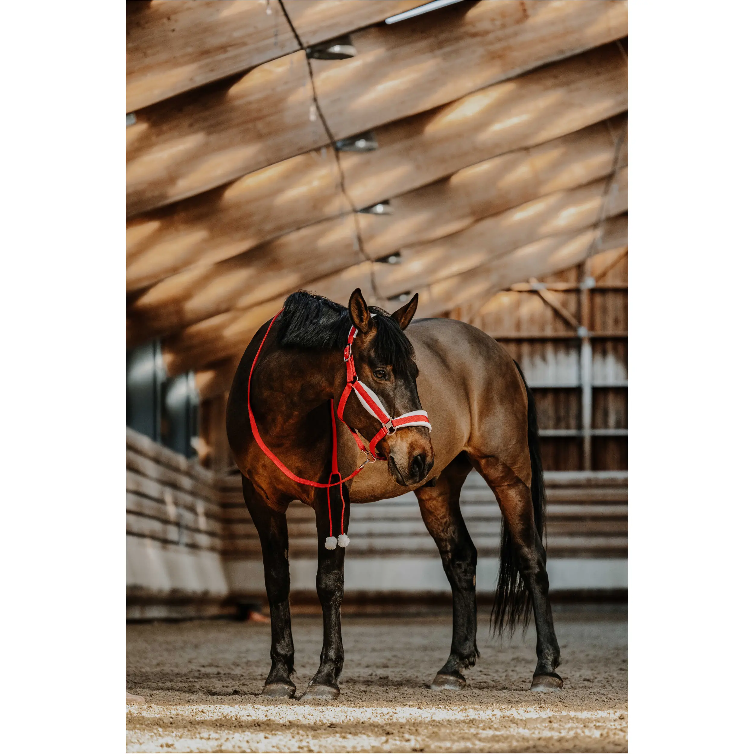 Halfter + Strick XMAS rot