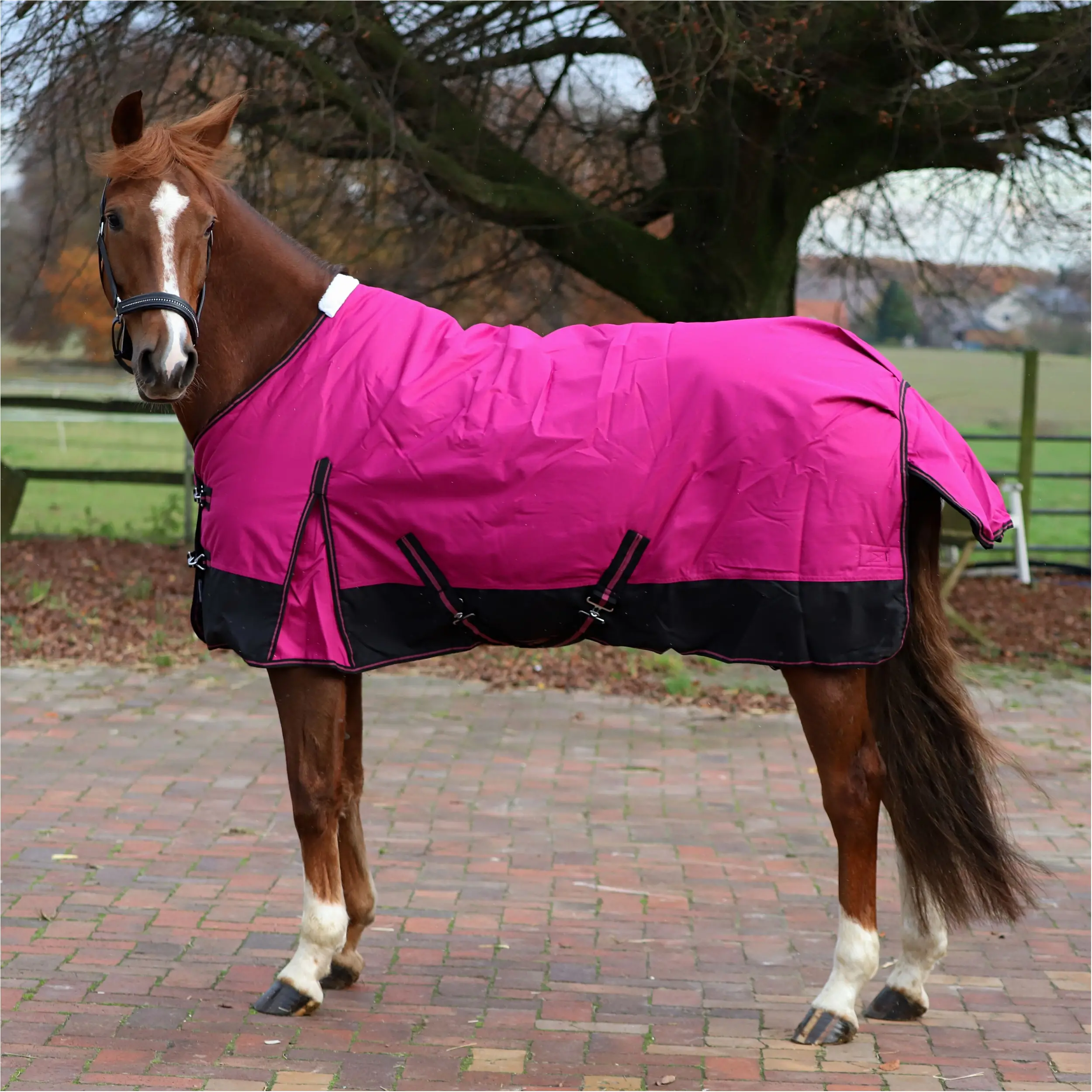 Winterdecke 300g Füllung 600D BASICLINE beere/schwarz