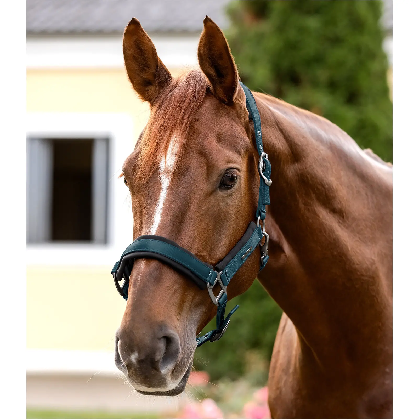 Halfter SOFT TOUCH petrolblau