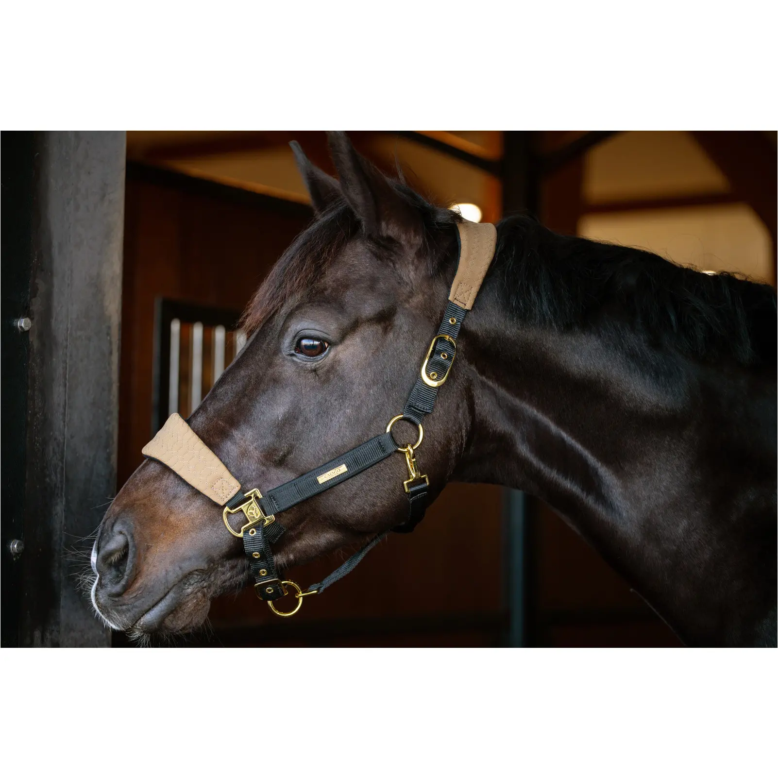 Halfter FIR-Tech GRAND kangaroo
