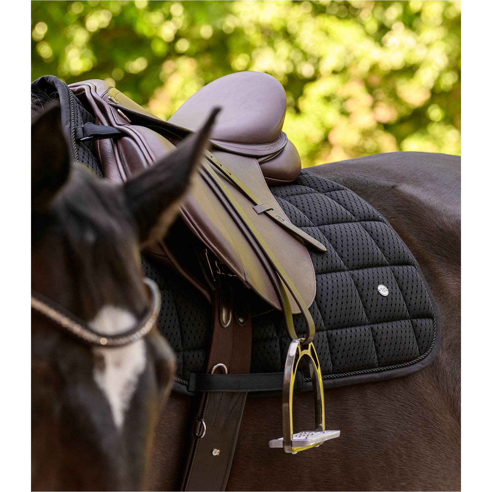 Schabracke BREATH PERFORMANCE schwarz Warmblut Schabracke BREATH PERFORMANCE schwarz Warmblut