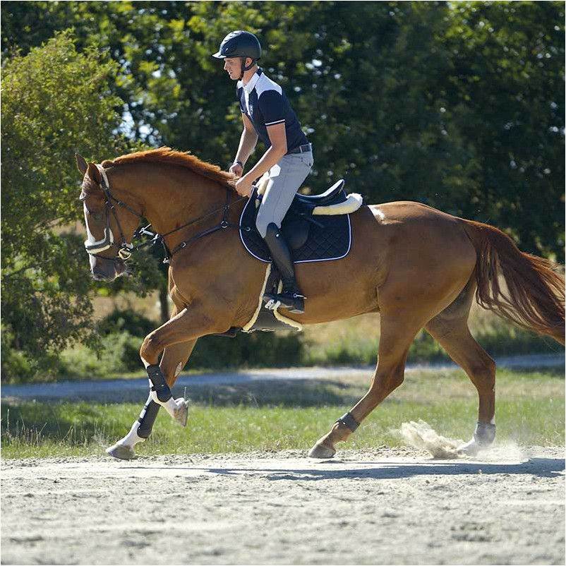 Reitstiefel MAXIMUS Echtleder schwarz Reitstiefel MAXIMUS Echtleder schwarz