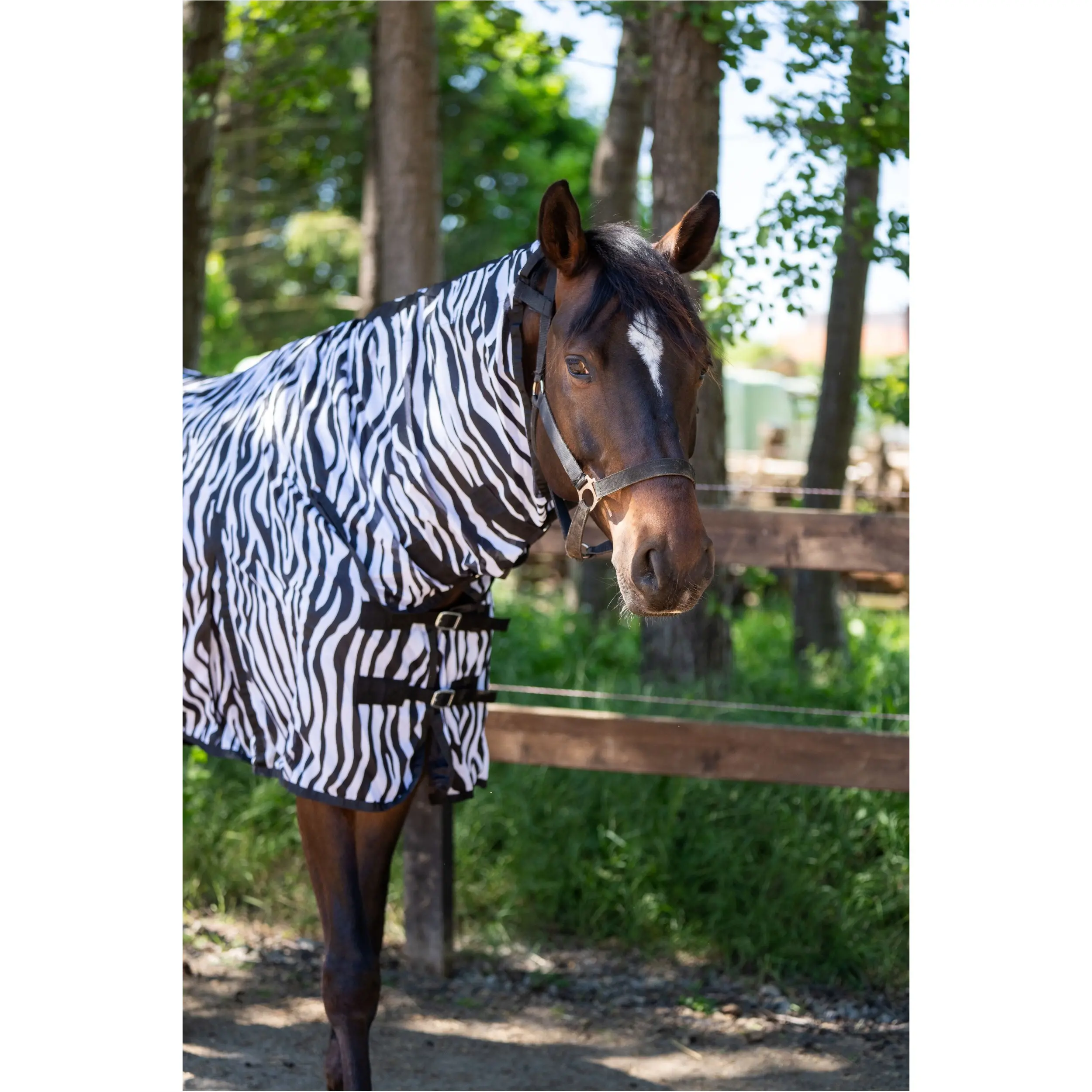 Fliegendecke mit Halsteil und Bauchlatz ZEBRA schwarz/weiß