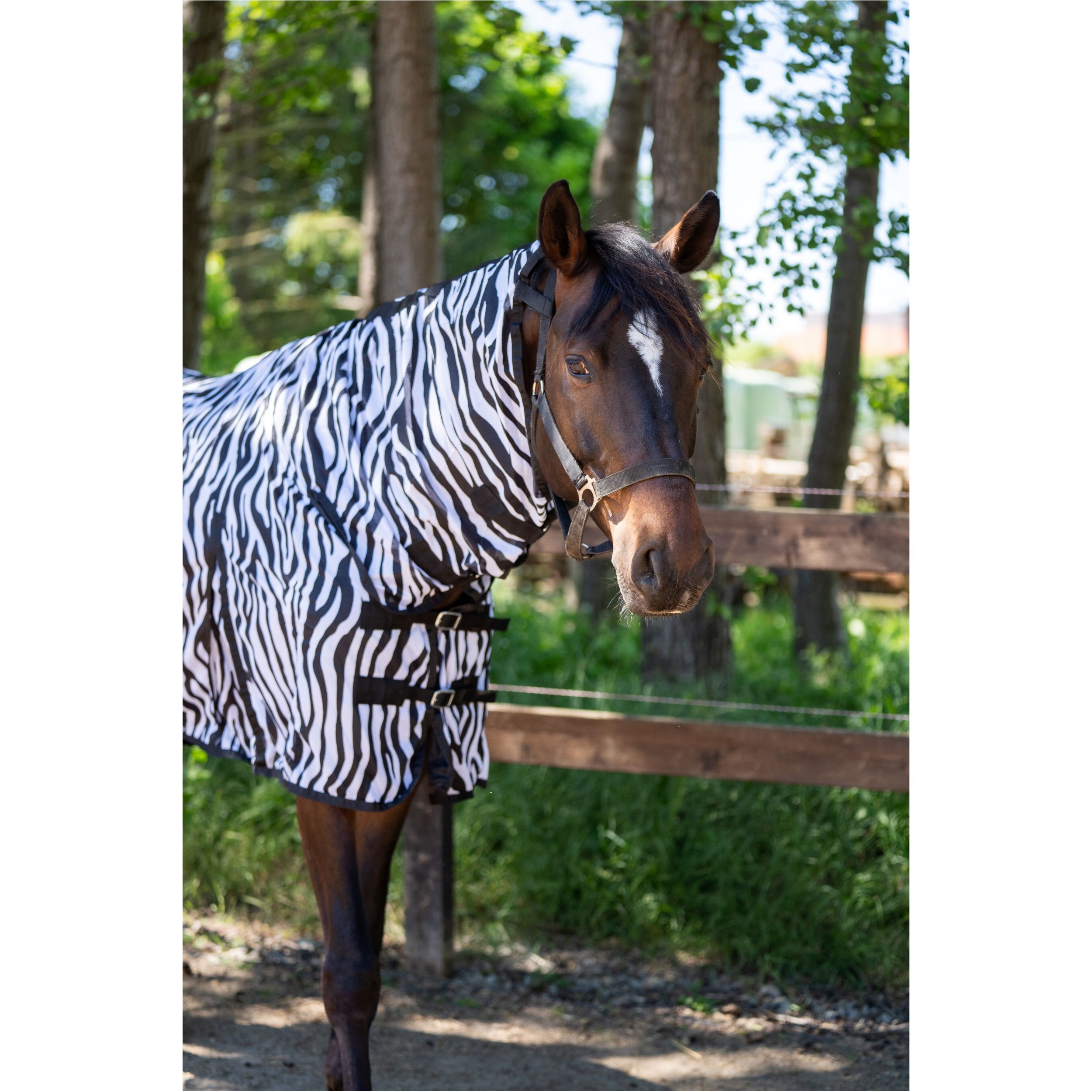 Fliegendecke mit Halsteil und Bauchlatz ZEBRA schwarz/weiß