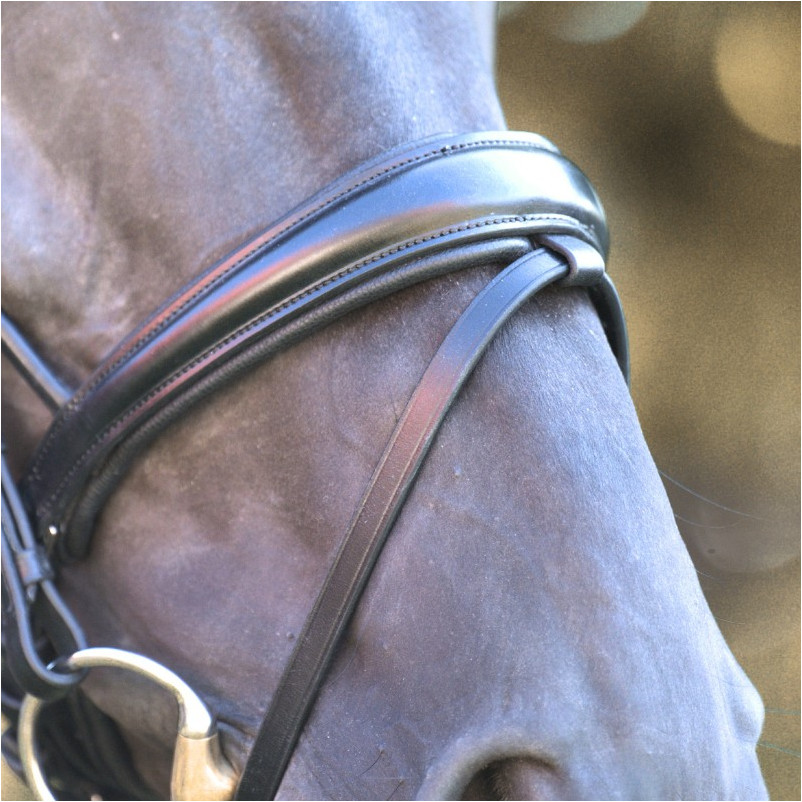 Trensenzaum mit schwedischen Reithalfter FLORENTINE schwarz