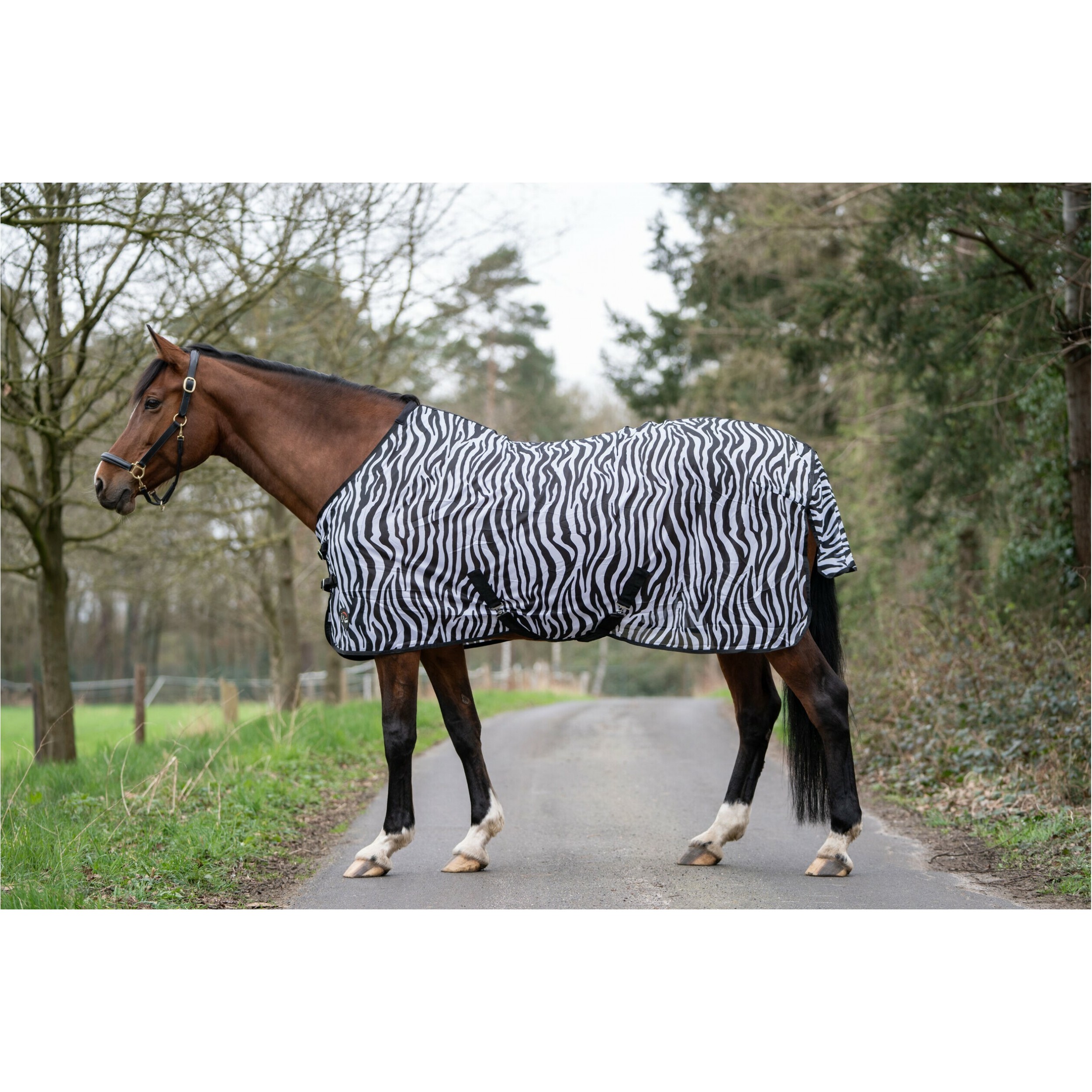 Fliegendecke mit Kreuzgurt ZEBRA schwarz/weiß