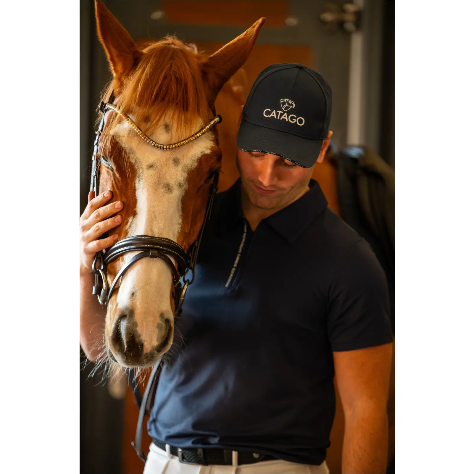 Trensenzaum englisch kombiniert BROOKLYN braun Trensenzaum englisch kombiniert BROOKLYN braun