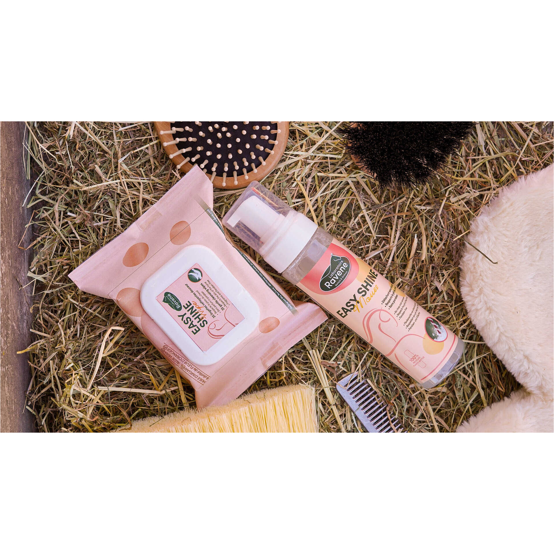 Fleckentferner-Schaum Easy Shine 200ml