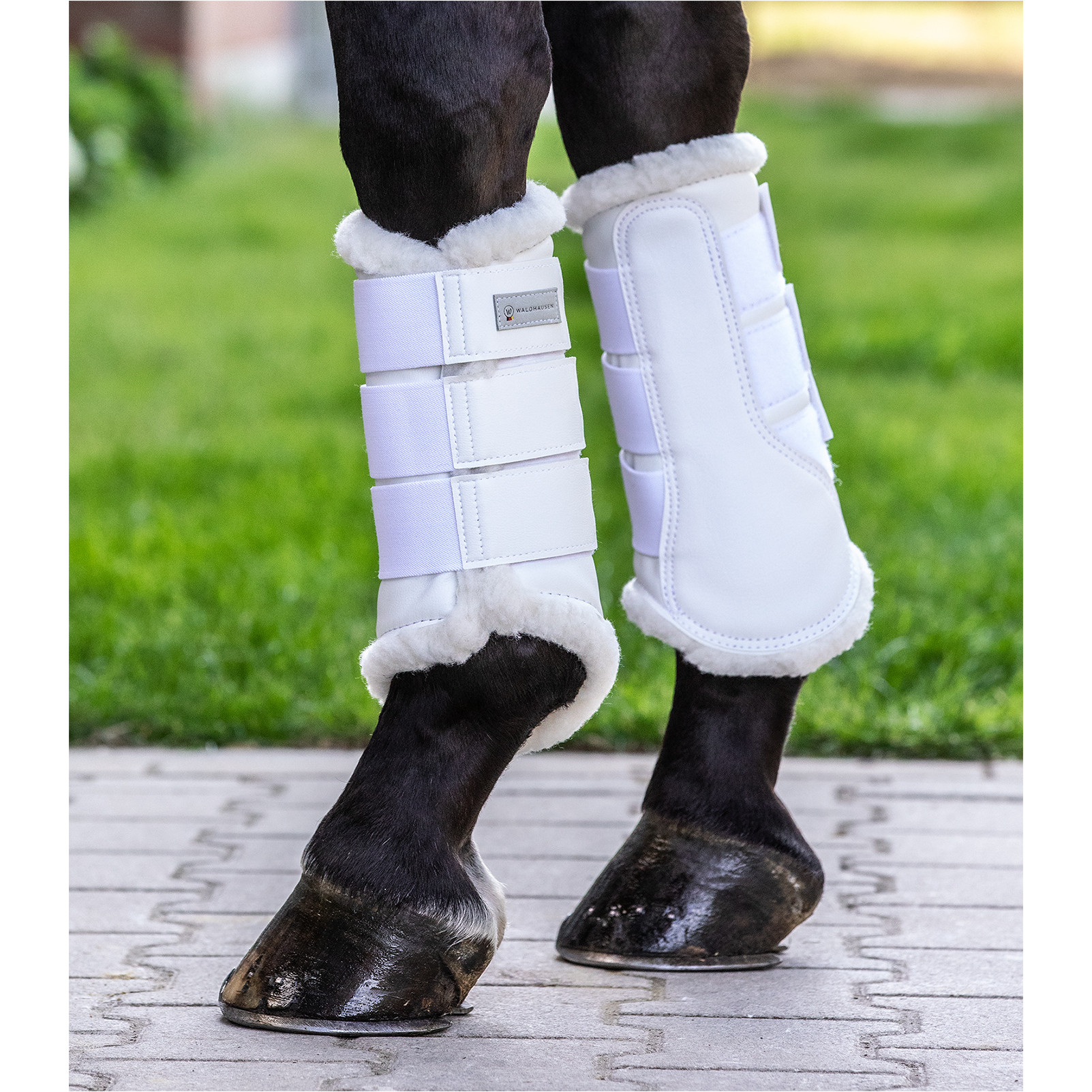 Dressur Gamaschen SOFT weiß
