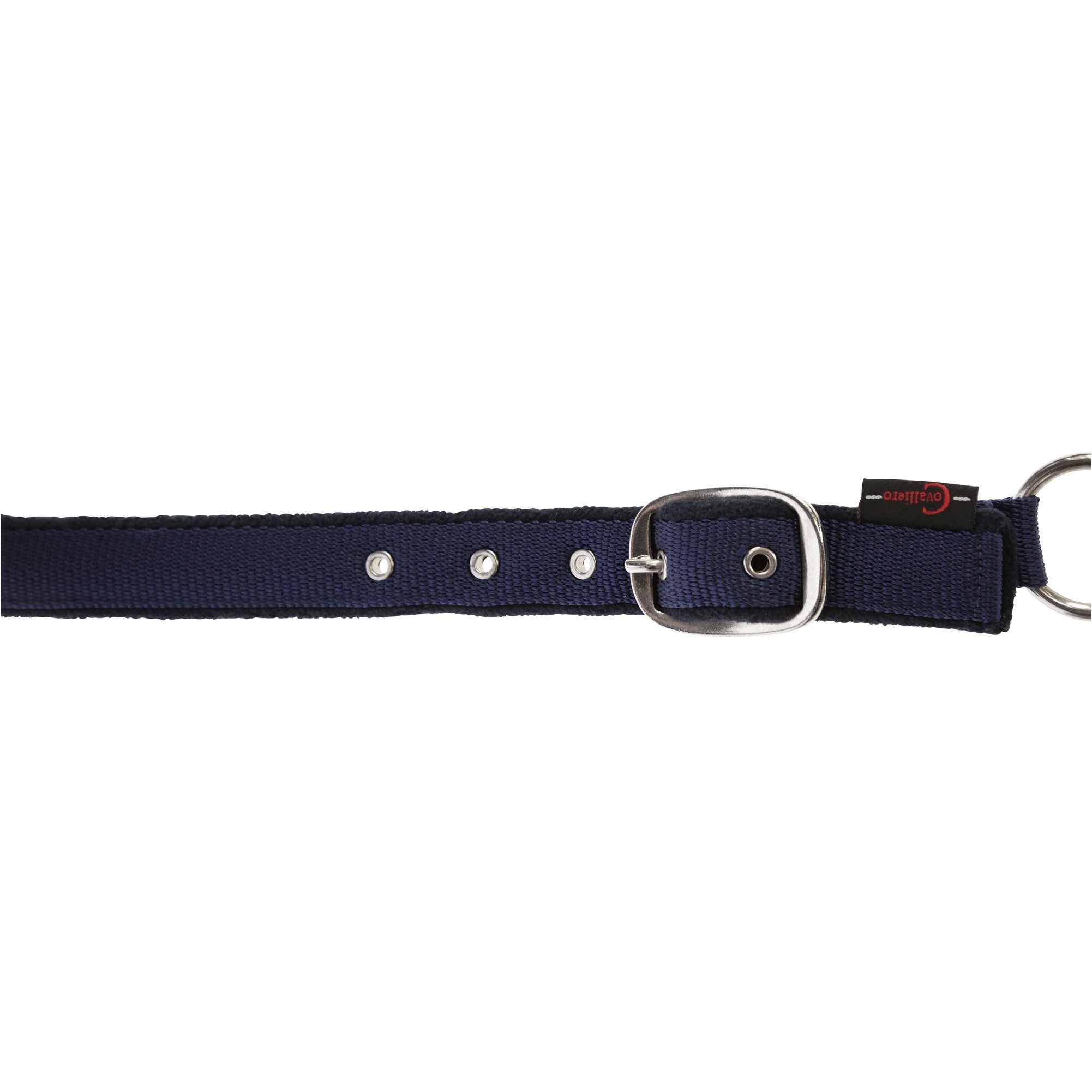 Halfter mit Fleeceunterlage DEXTER blau