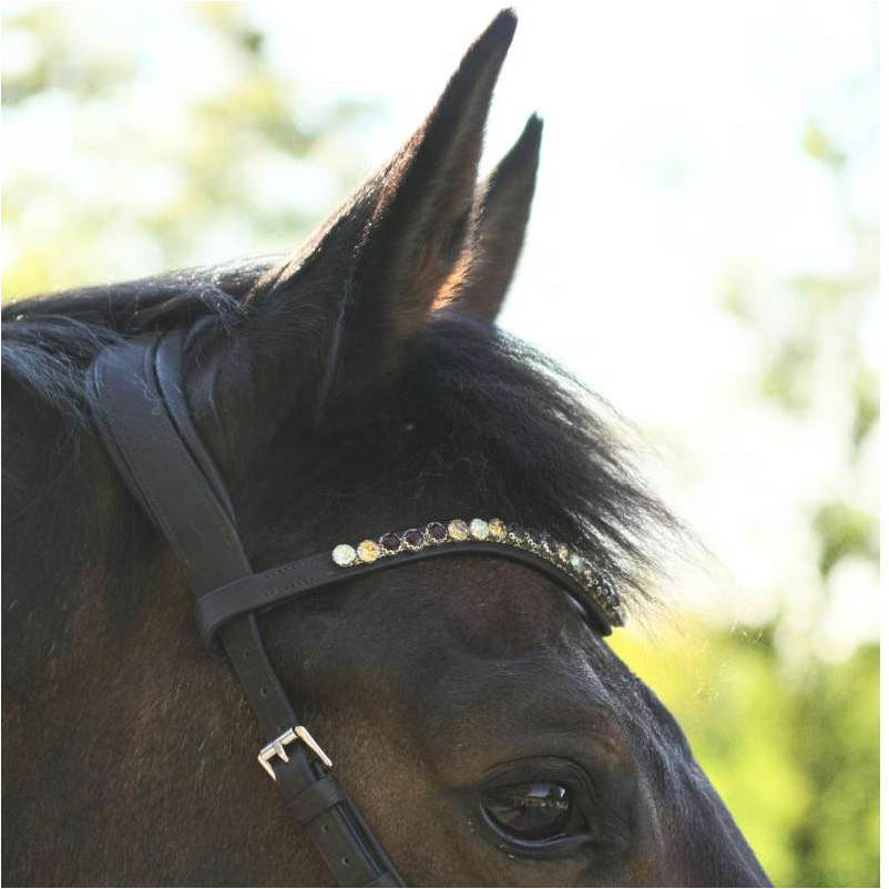 Trensenzaum Gebisslos LIGHT schwarz