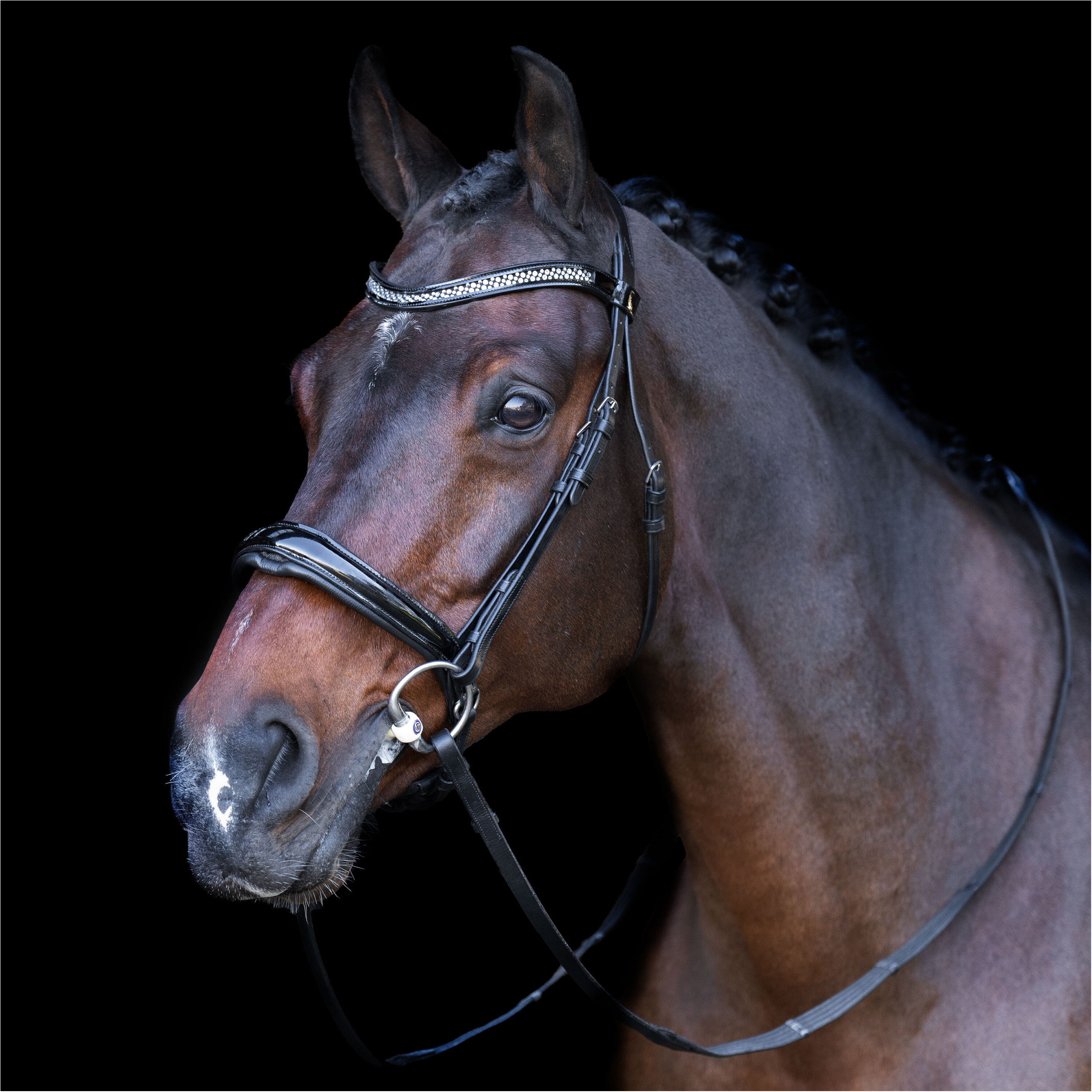 Trensenzaum mit englischem Nasenriemen IRH schwarz-crystal 