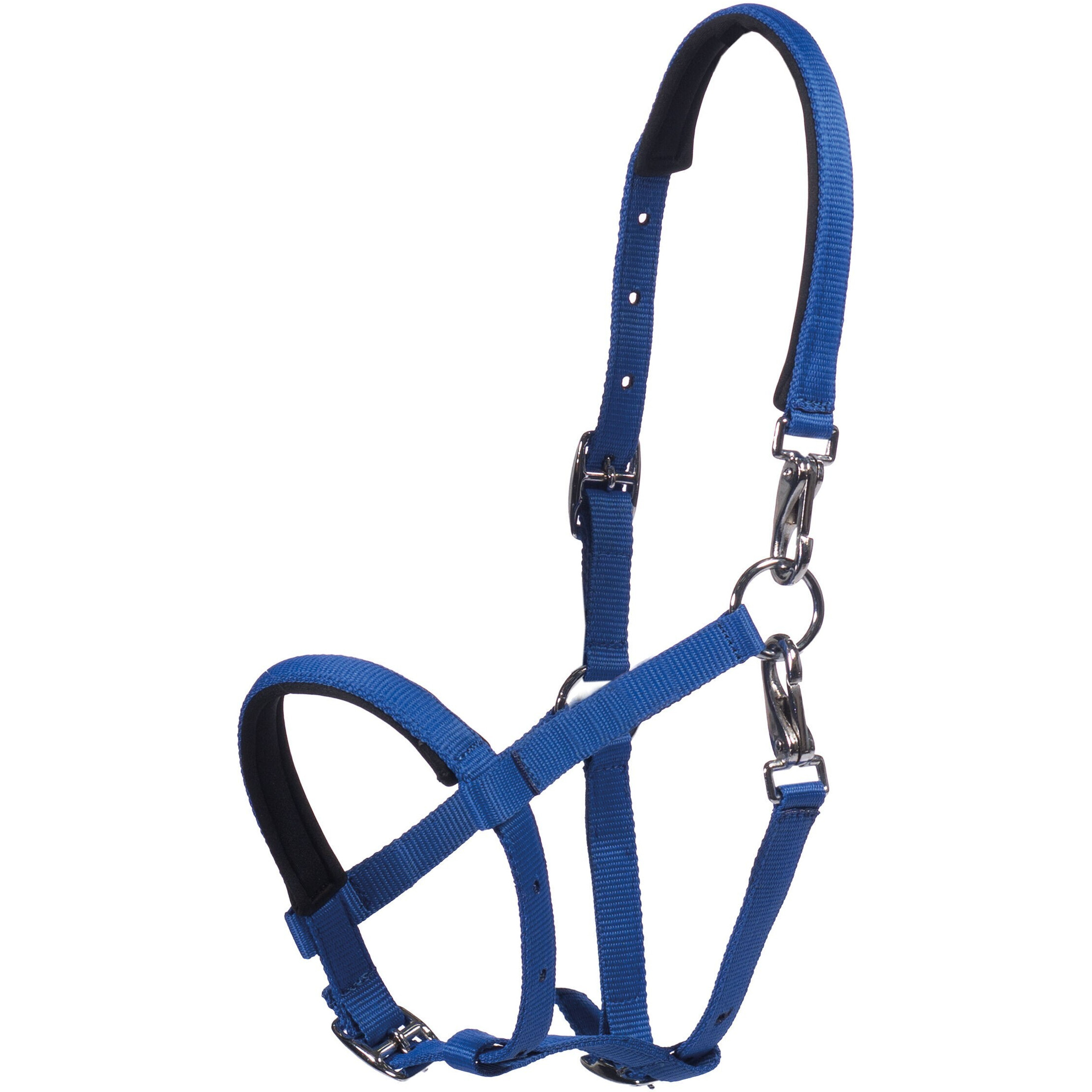 Fohlenhalfter MILLIE kobaltblau
