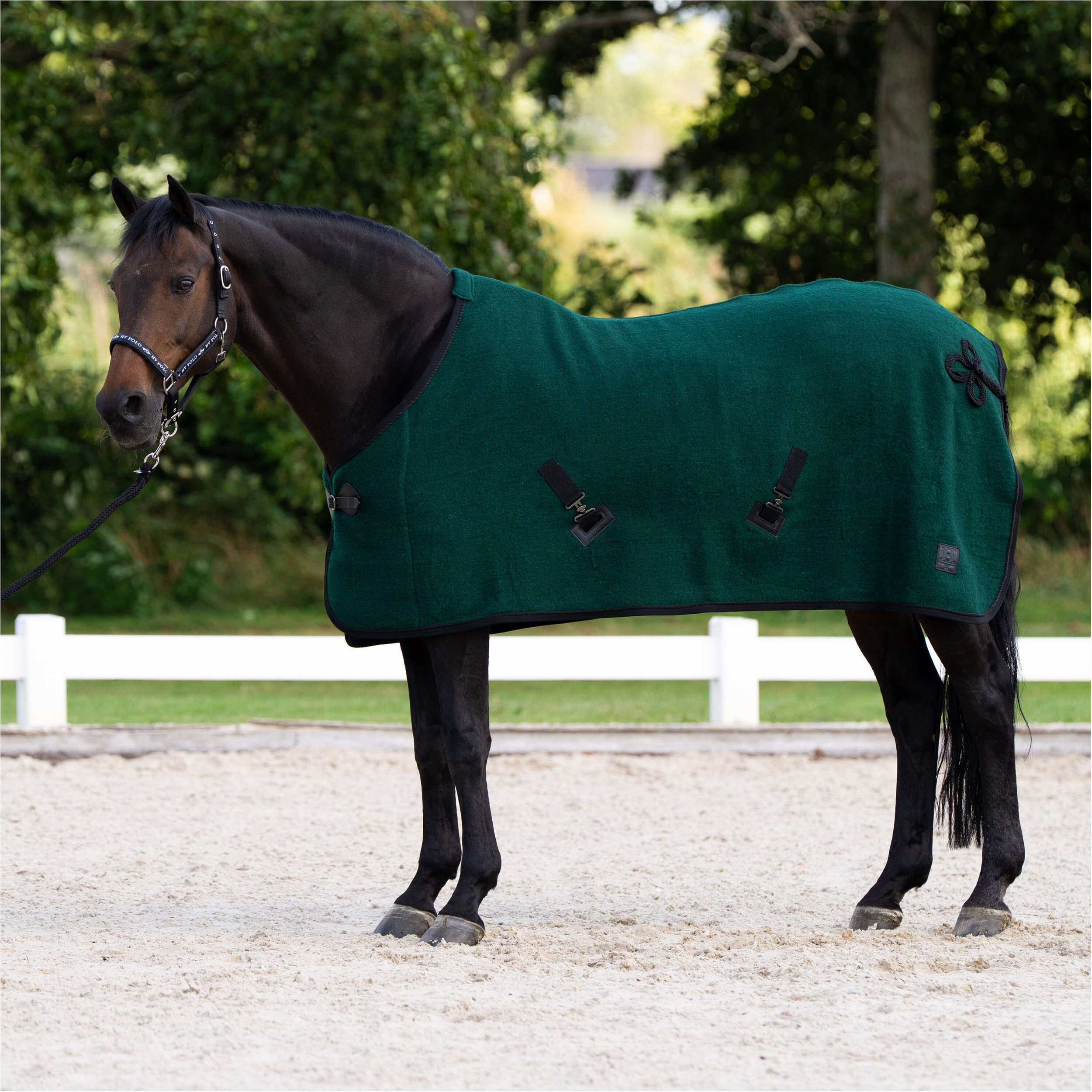 Wolldecke HVPScottie duck green