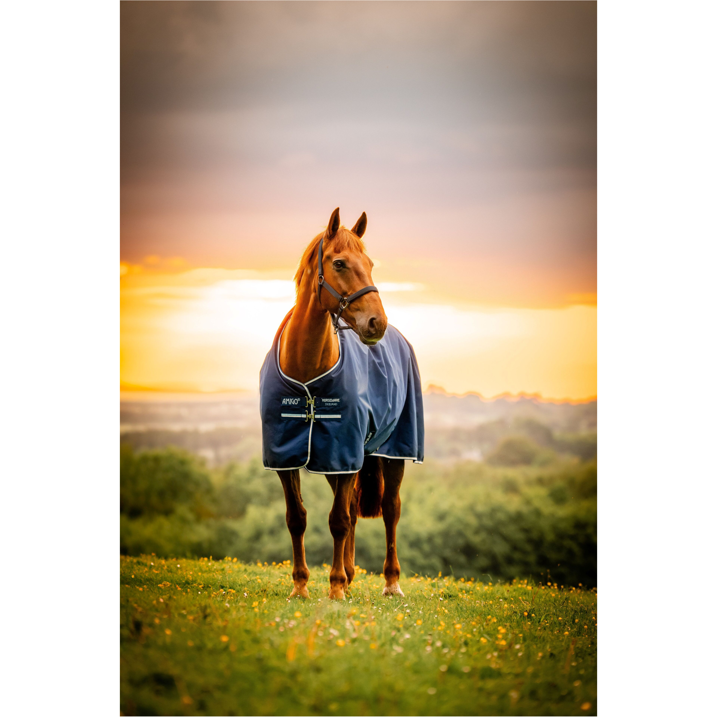 Outdoordecke 100g Füllung 900D AMIGO Ripstop Turnout witney stripes/navy