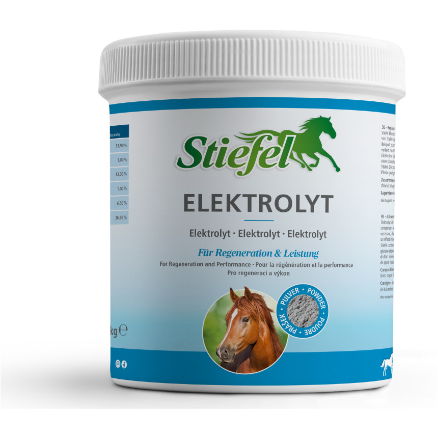 Elektrolyt Pulver zur schnellen Regeneration 1000g