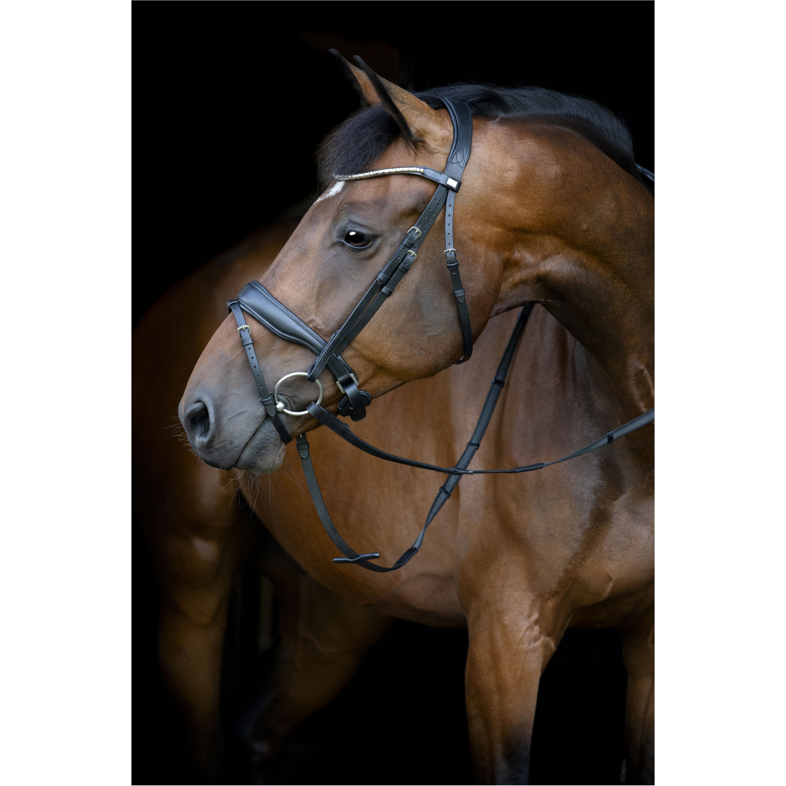 Trensenzaum schwedisch kombiniert CRYLL 26.1 schwarz