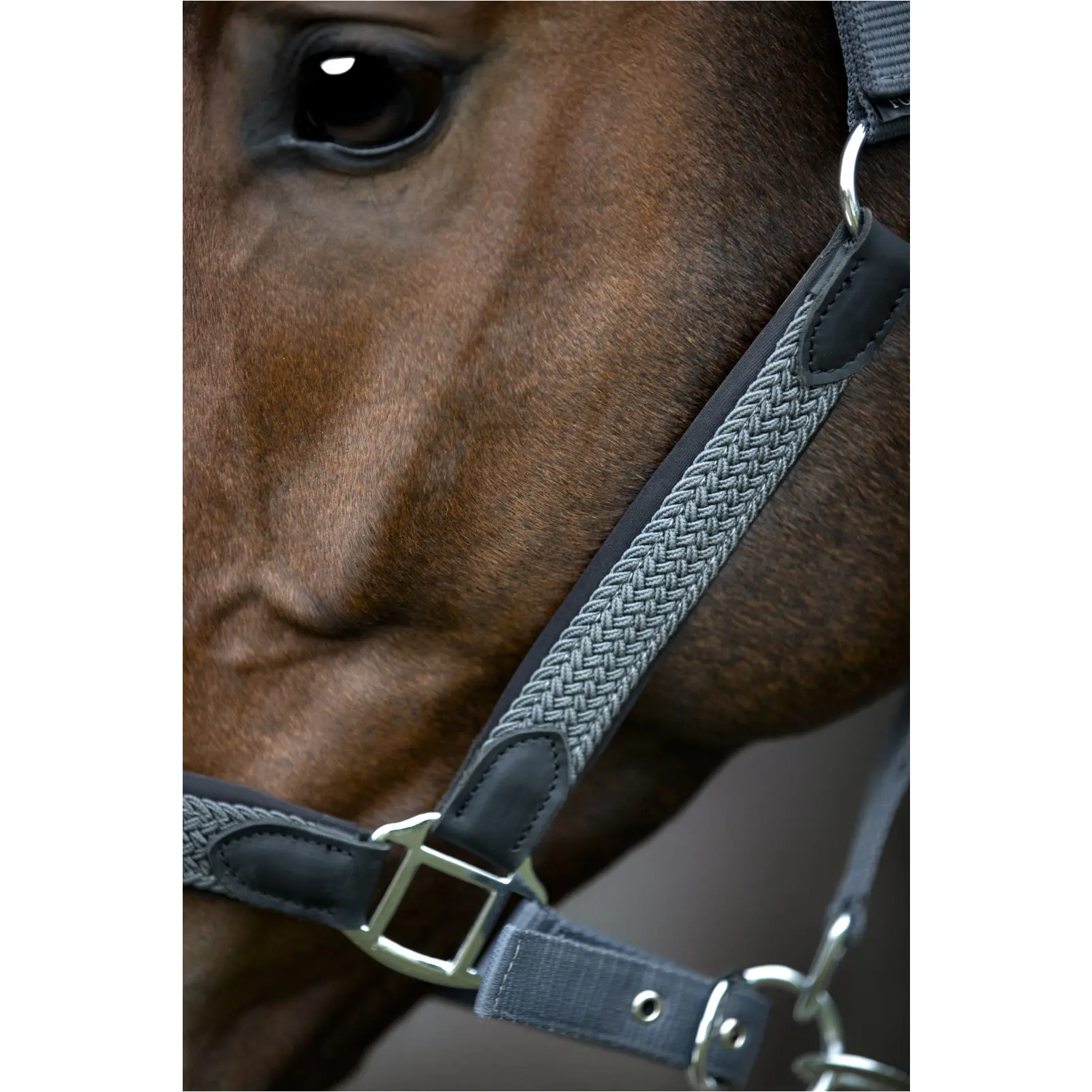 Halfter geflochten VARDIA asphalt Halfter geflochten VARDIA asphalt